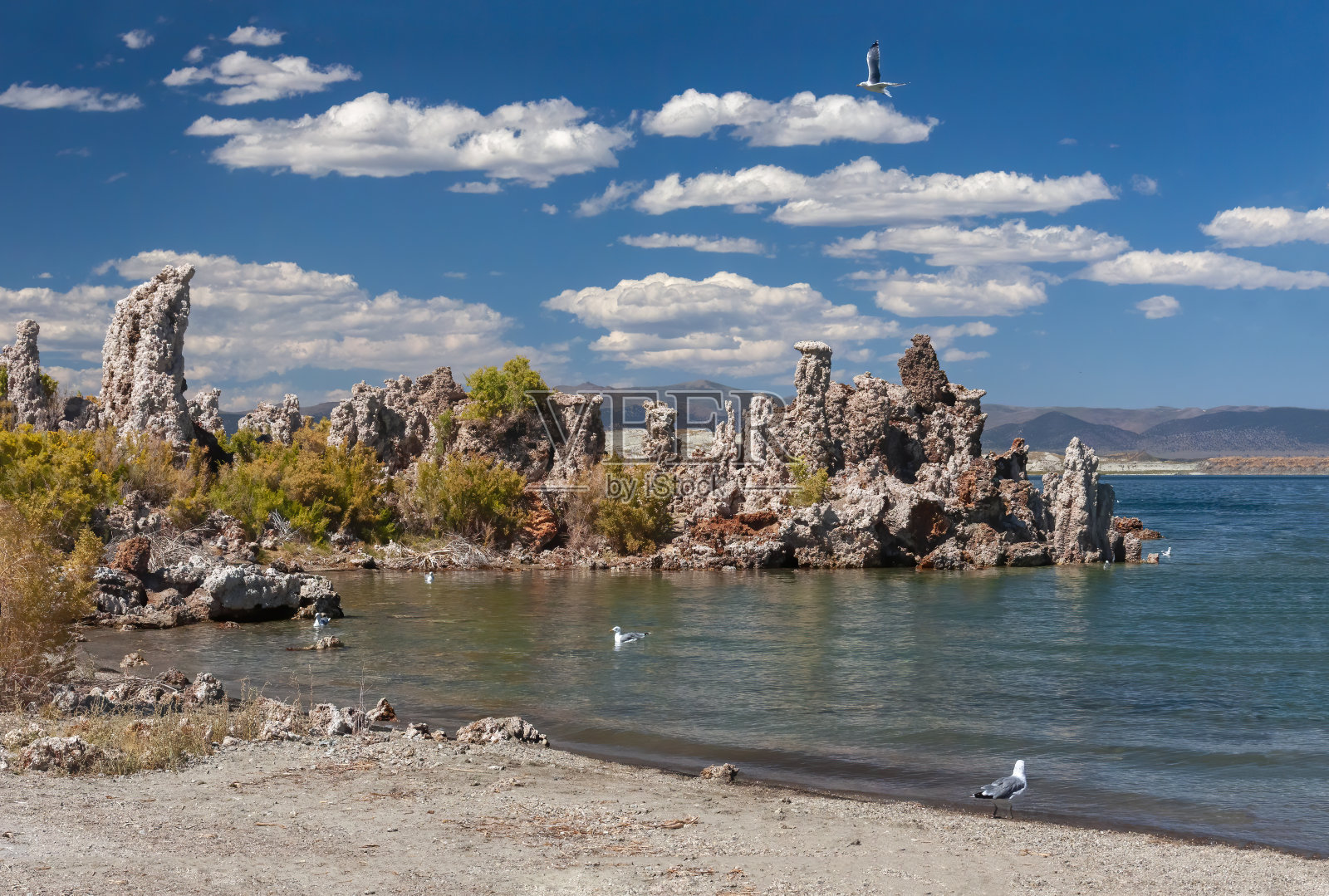 凝灰岩，胡豆，加利福尼亚莫诺湖奇异的钙质凝灰岩形成。照片摄影图片