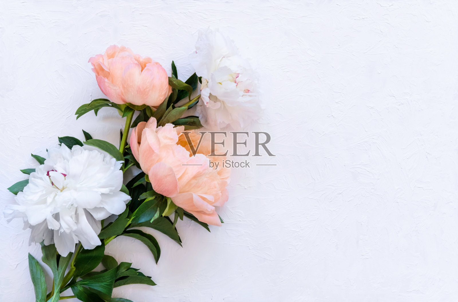 白色和粉红色的牡丹花束照片摄影图片