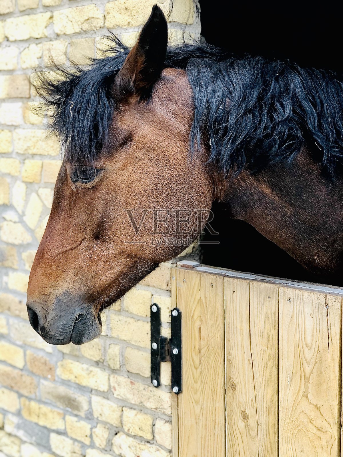 享受夏日的微风照片摄影图片