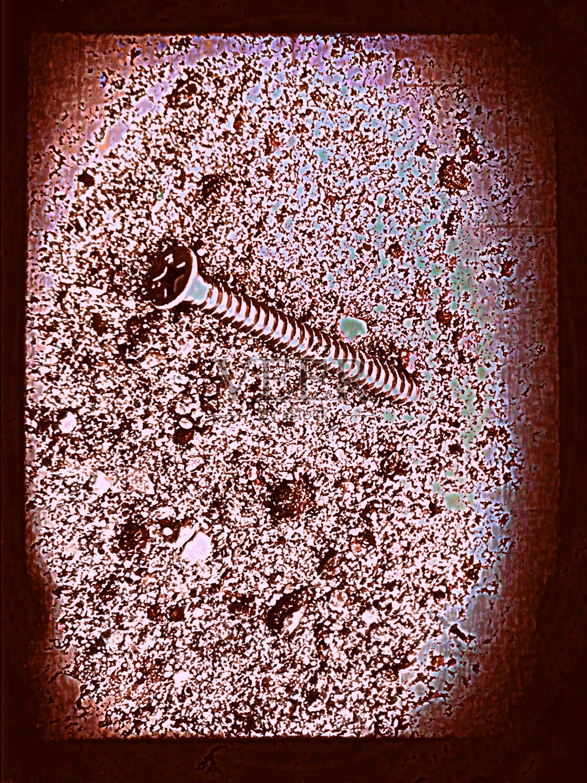 如果我们躺在这里…照片摄影图片