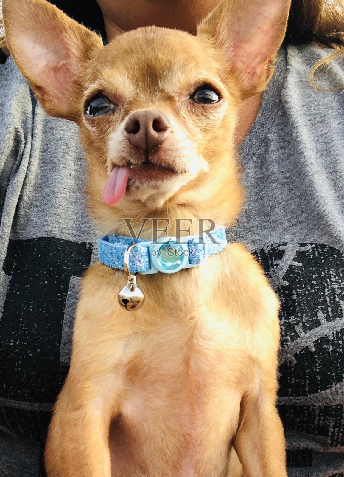 棒球之爱照片摄影图片