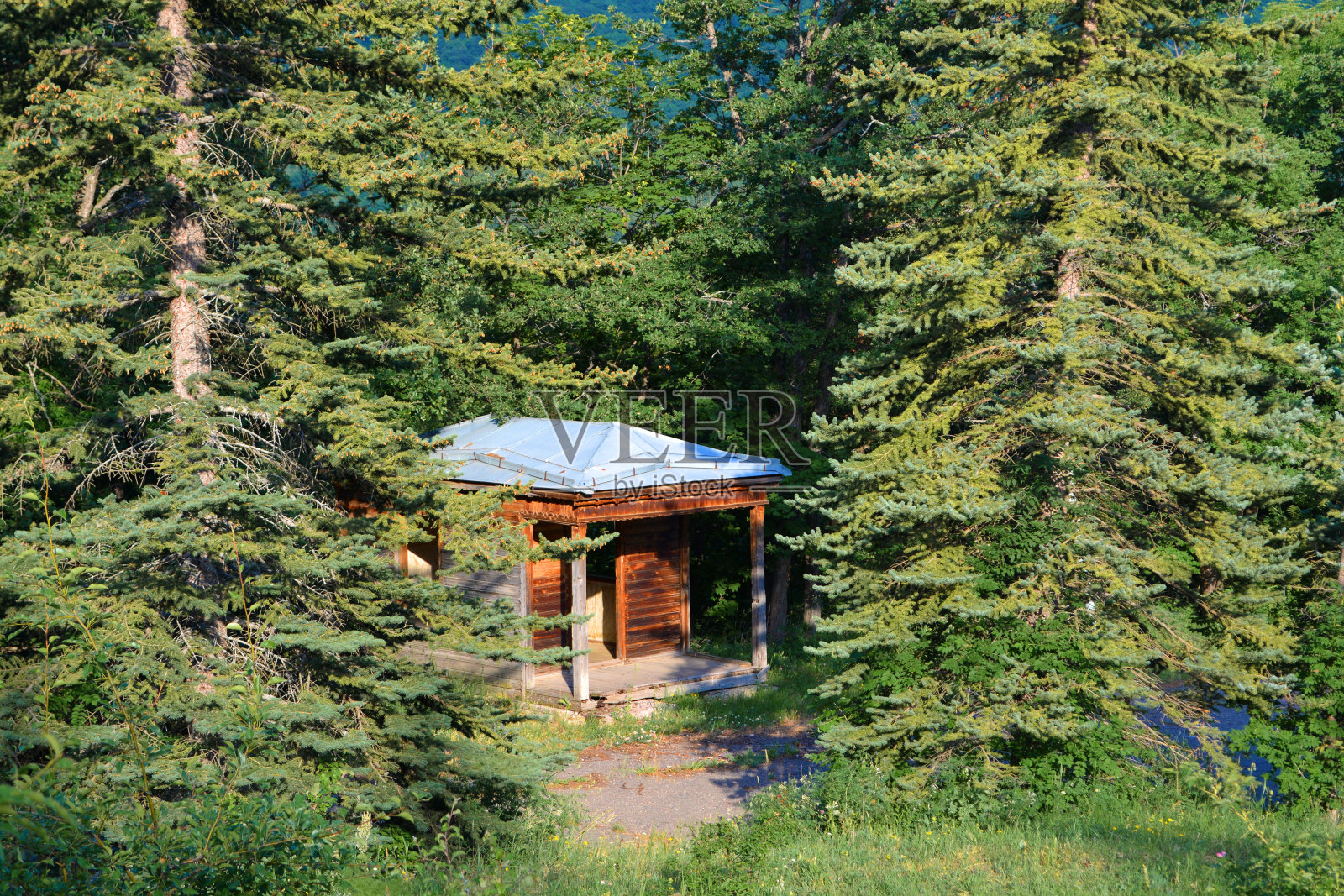 孤独的房子。森林中的小屋照片摄影图片