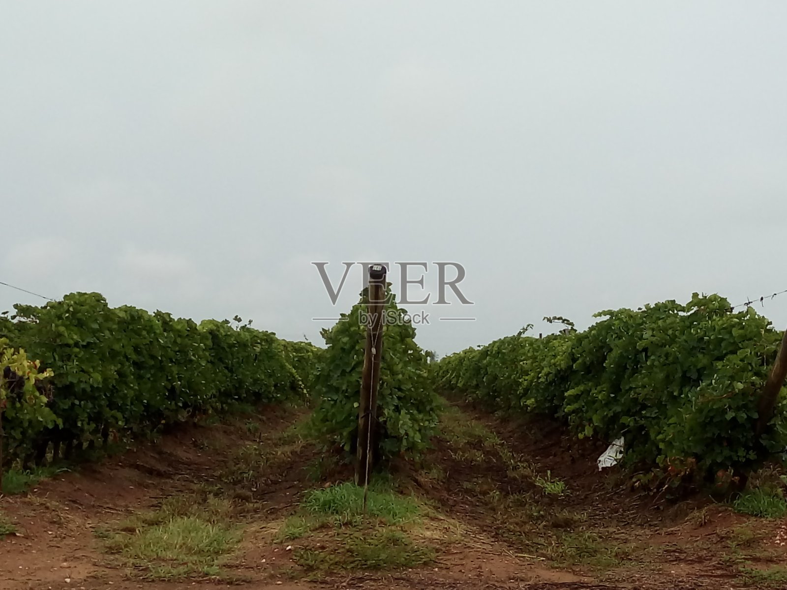 圣弗朗西斯科河照片摄影图片