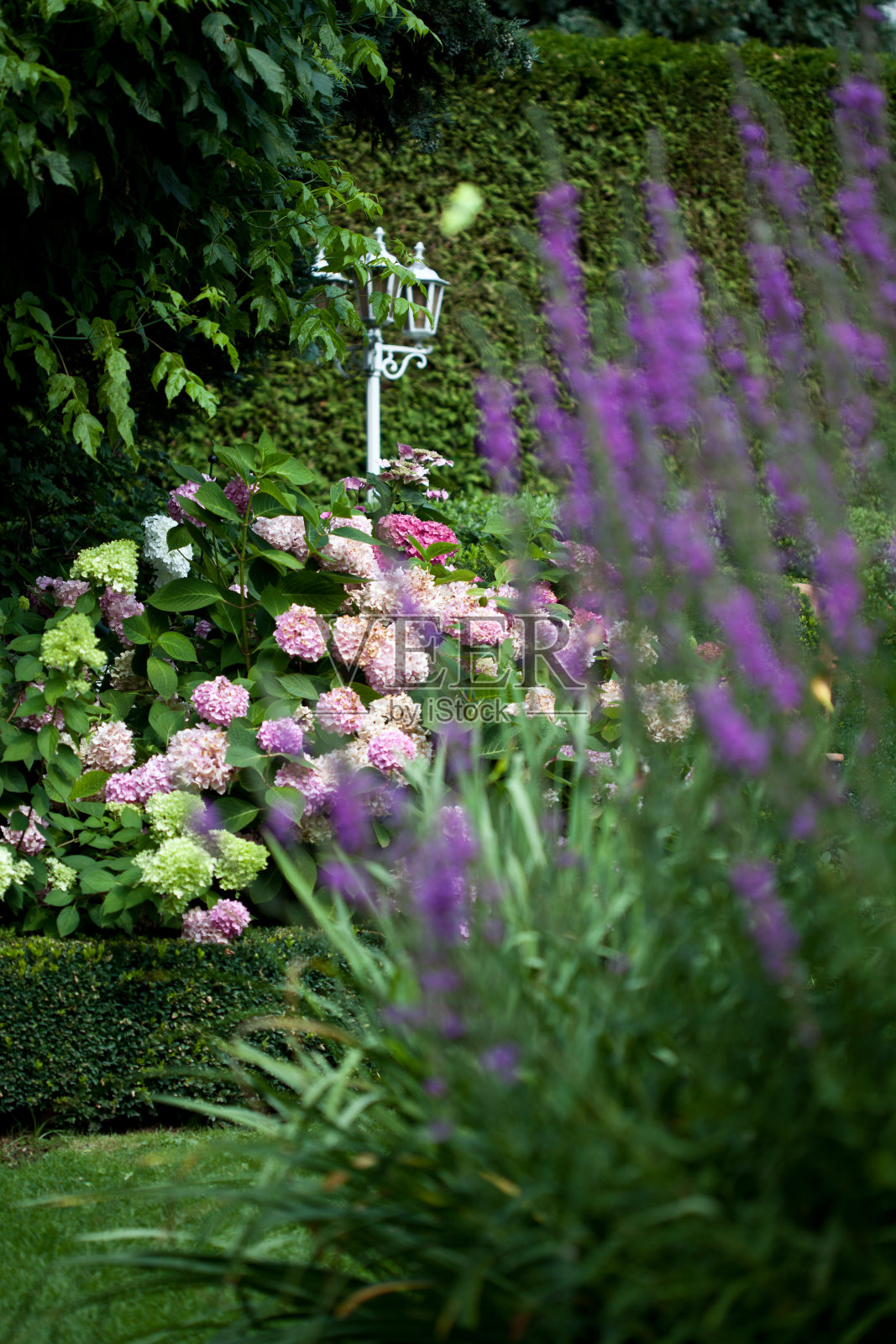 夏季带床花园设计照片摄影图片