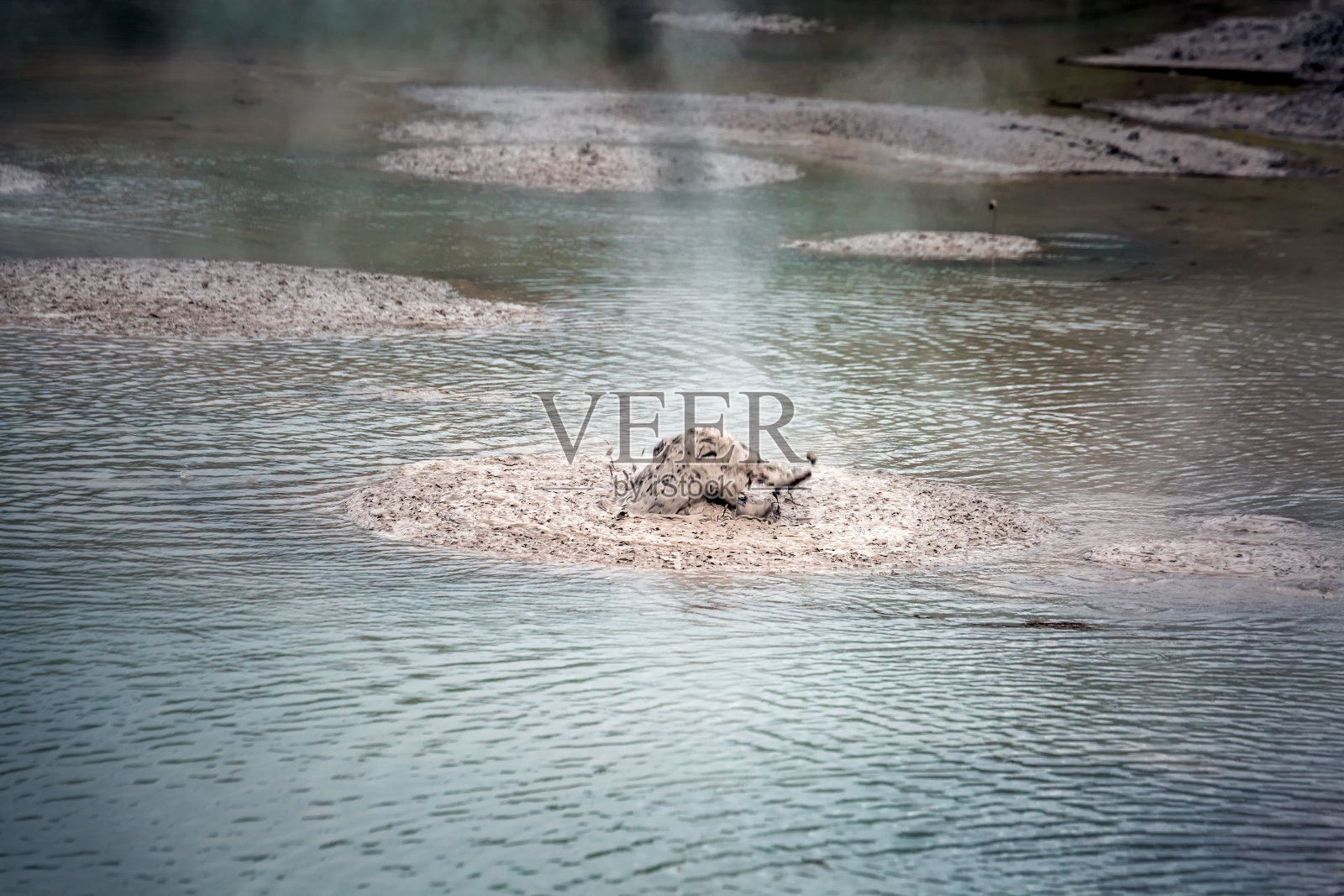 新西兰的观点照片摄影图片