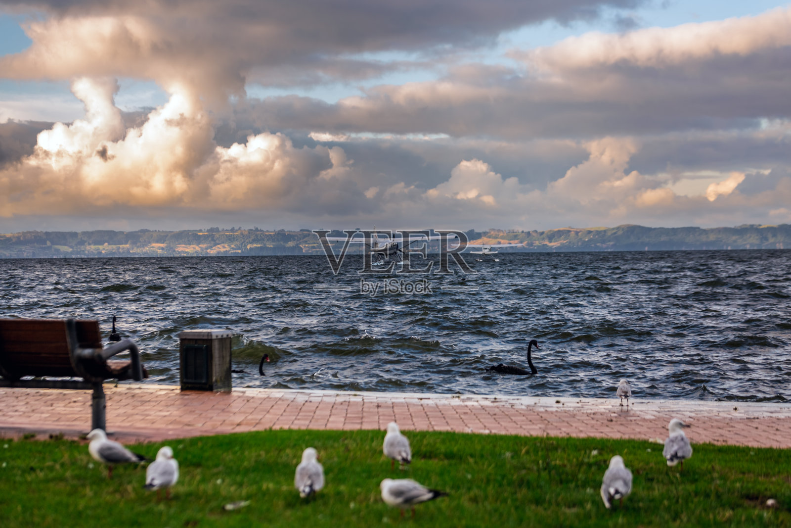 新西兰的编辑照片摄影图片