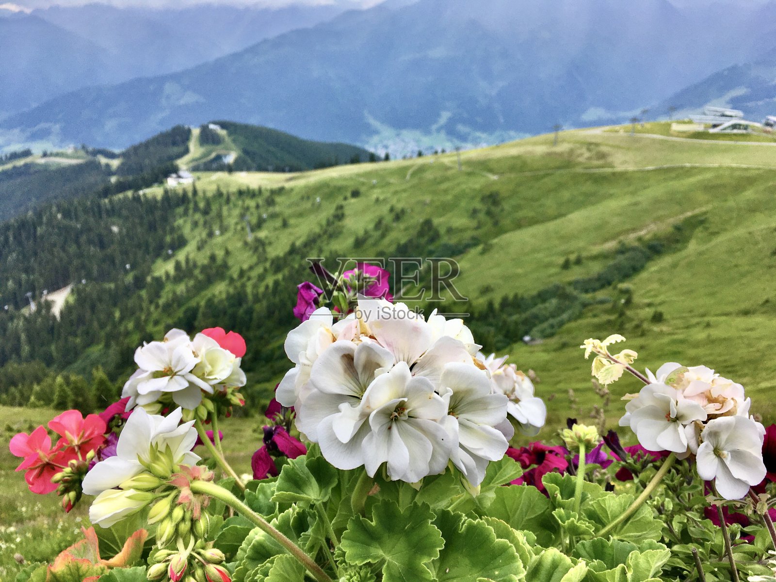 从奥地利的schmittenhe走到Zell am see照片摄影图片