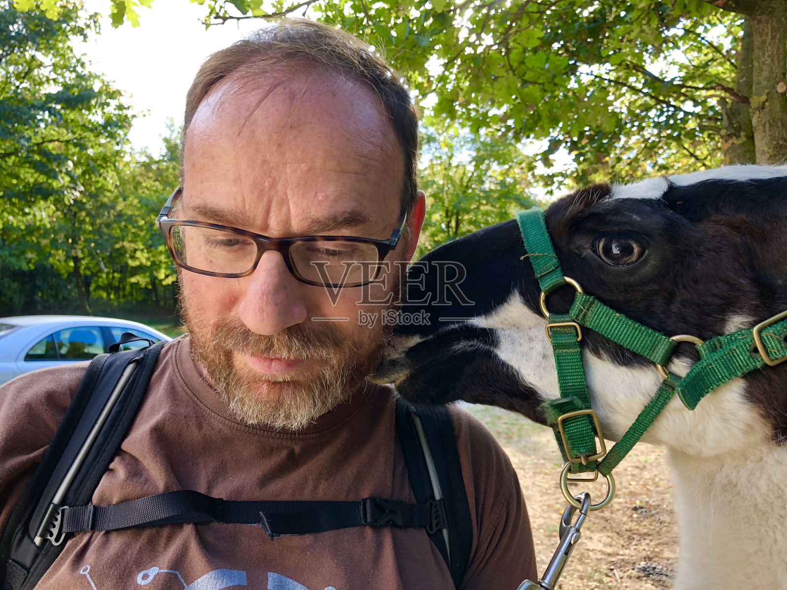 喇嘛走照片摄影图片