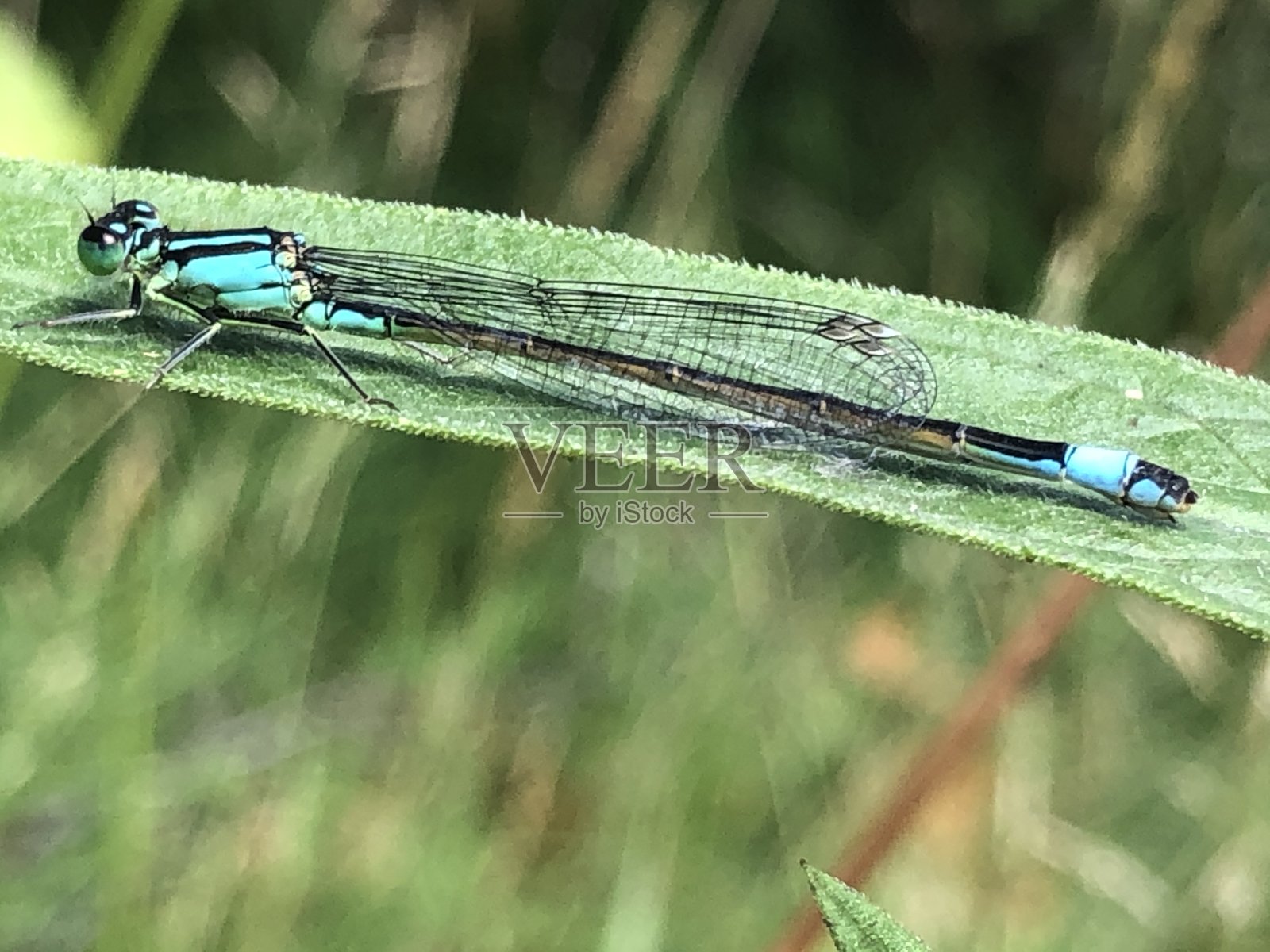 寂静的一刻照片摄影图片