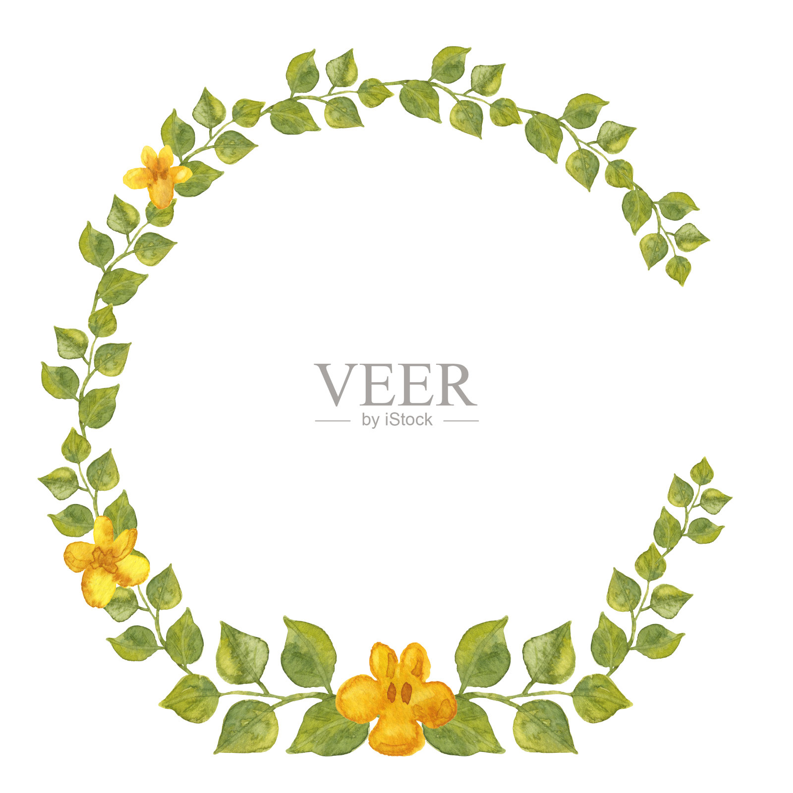 绿叶黄花蕾水彩花环。简单的手绘复古圆形框架为您的文字或贺卡。在白色上孤立的花和叶。本空间插画图片素材
