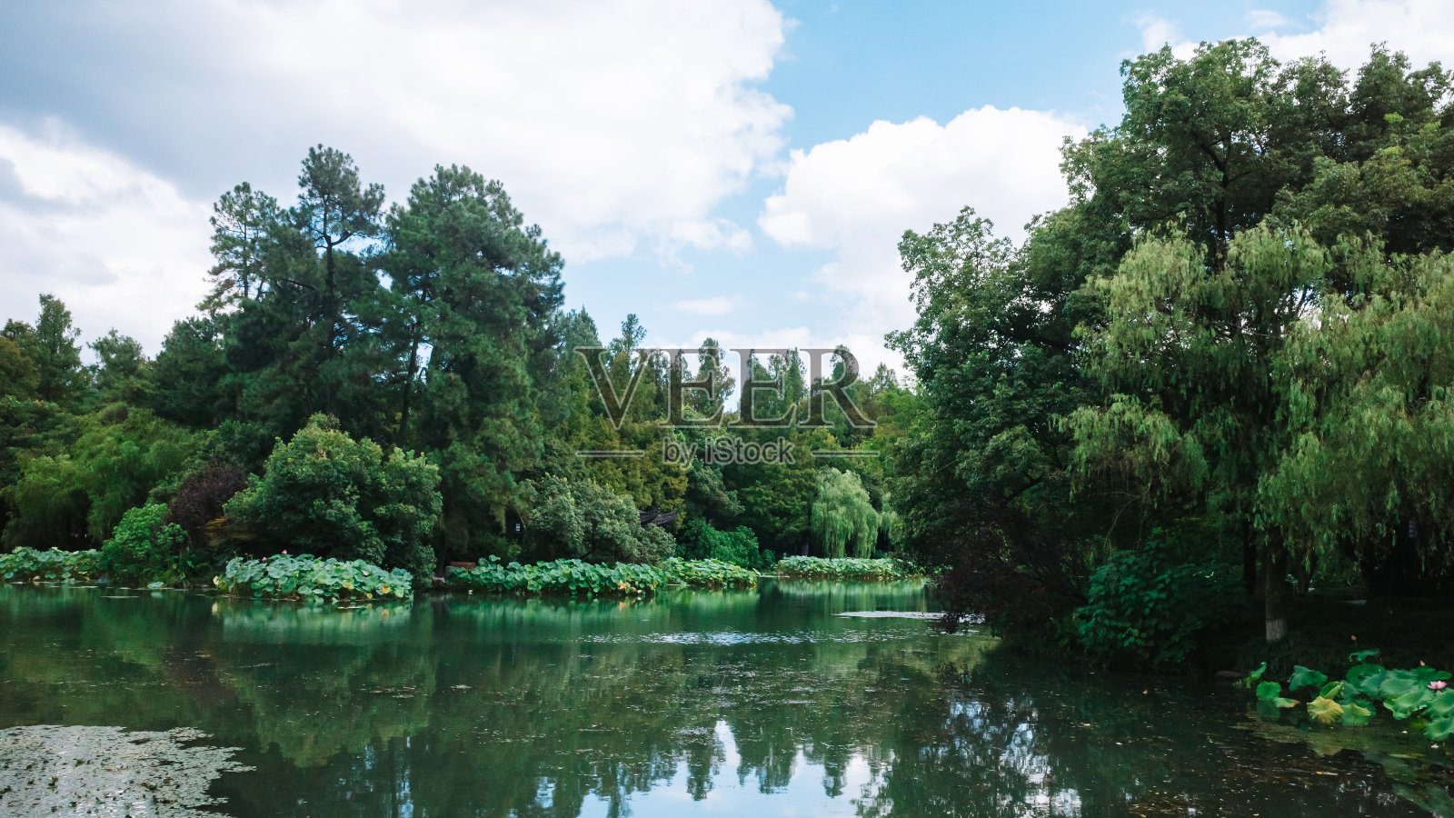 中国杭州西湖风景区的公园景观照片摄影图片