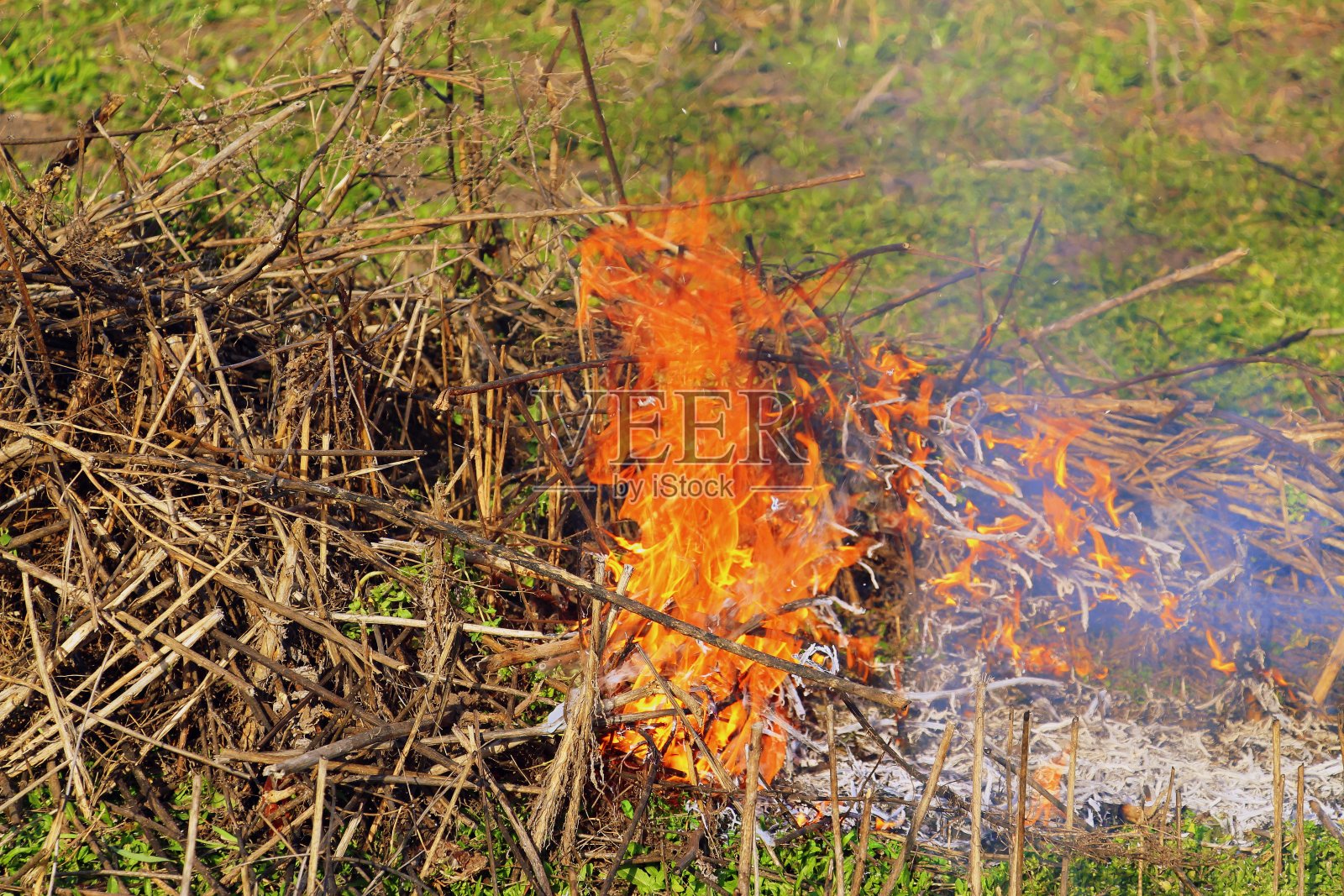 大火。照片摄影图片