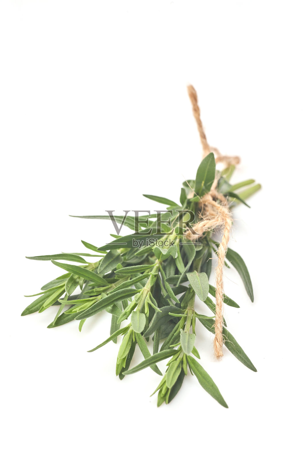 将新鲜迷迭香系在白色背景上，芳香的香草照片摄影图片