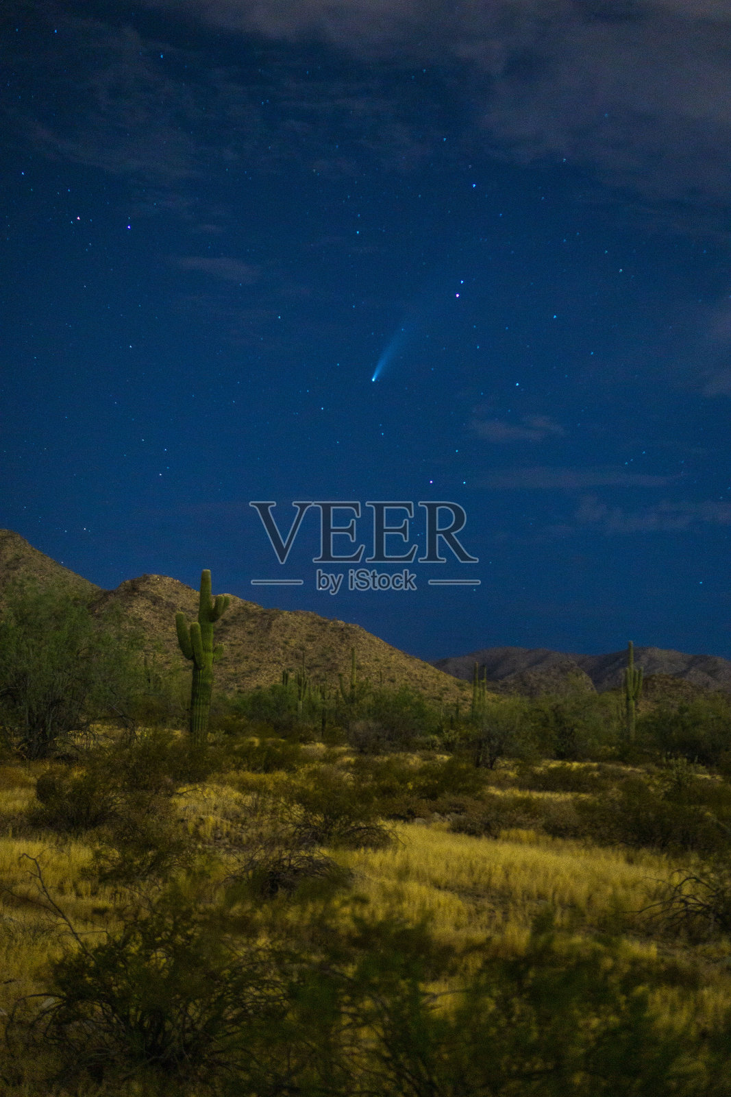 彗星和仙人掌照片摄影图片