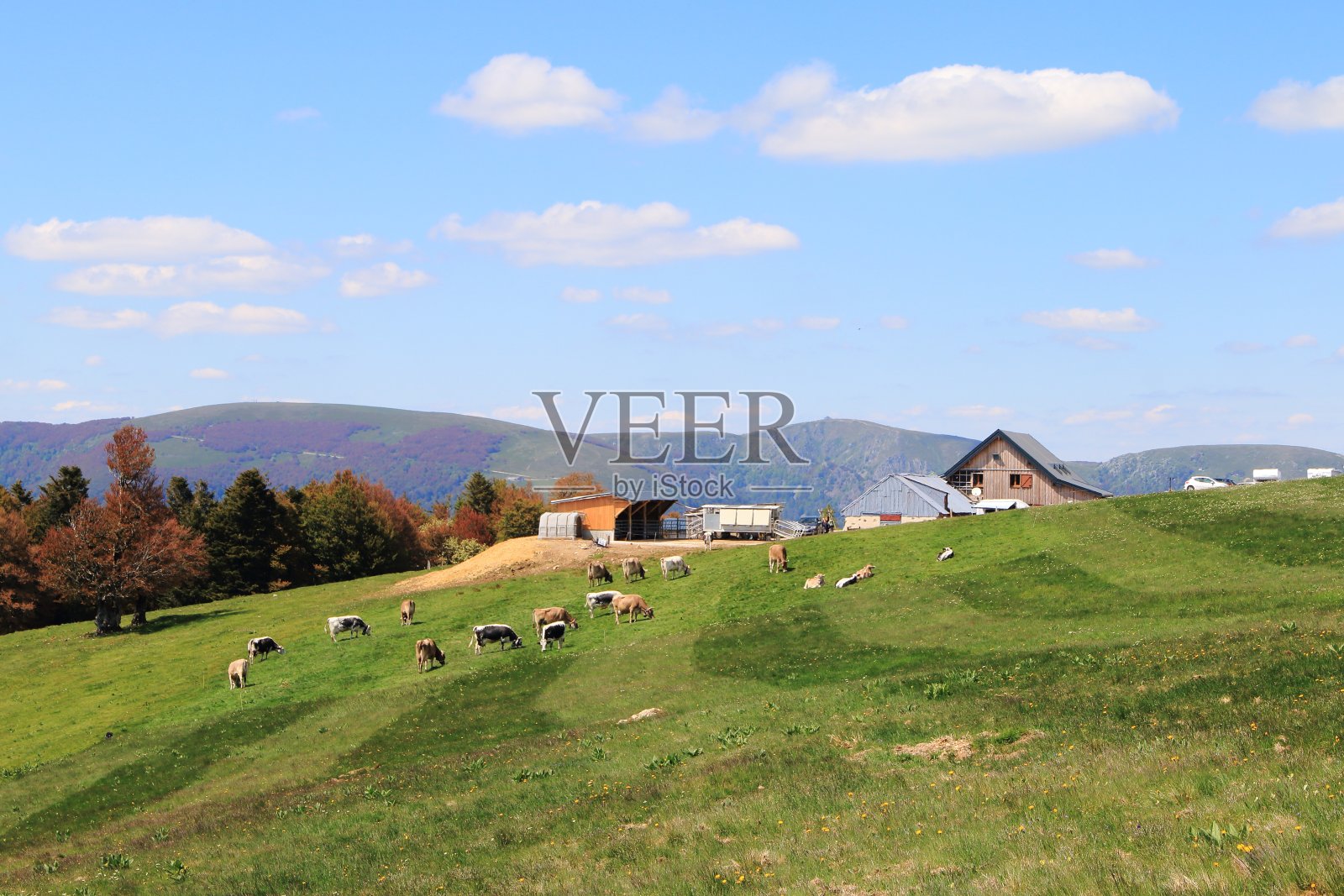 孚日风景，法国照片摄影图片