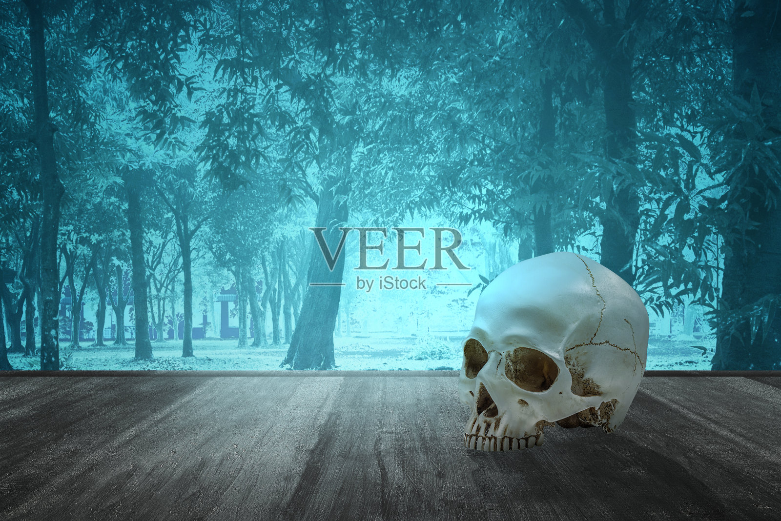 人的头盖骨在烟雾弥漫的木地板上照片摄影图片