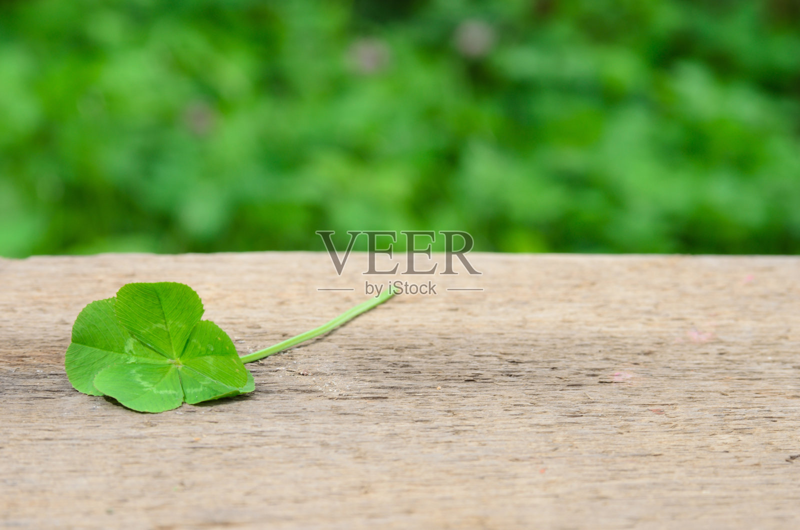 四叶三叶草在粗糙的木头表面上能带来好运照片摄影图片