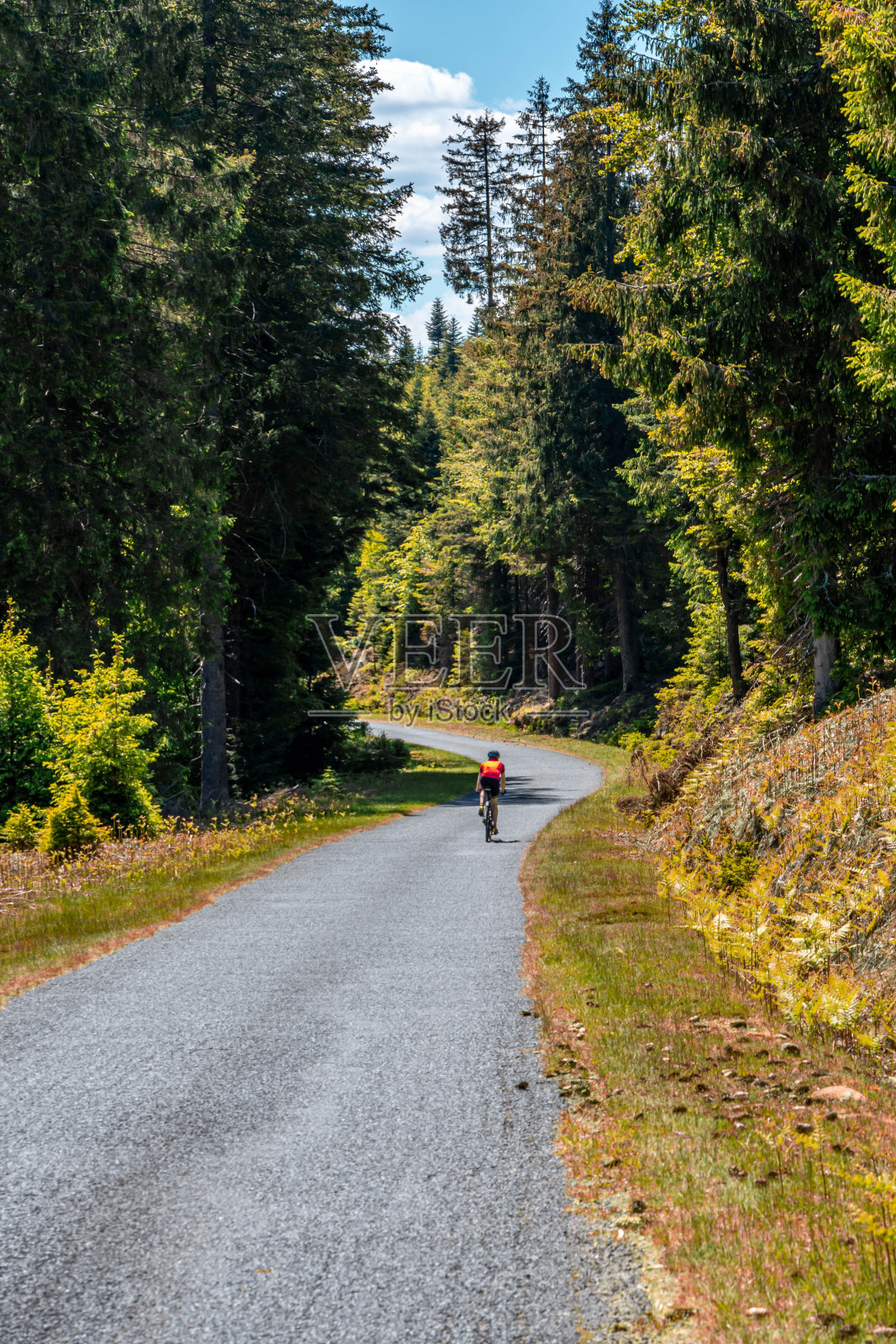 在国家公园徒步旅行照片摄影图片