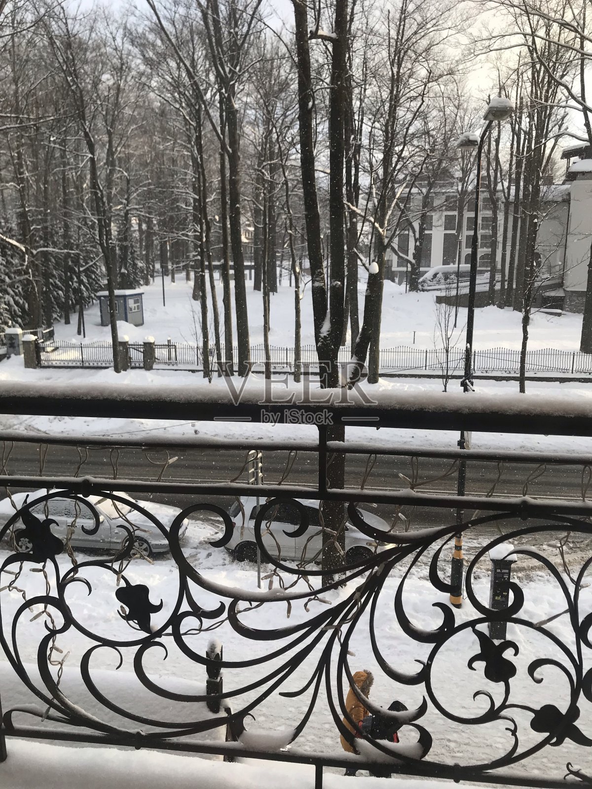 下雪的一天照片摄影图片