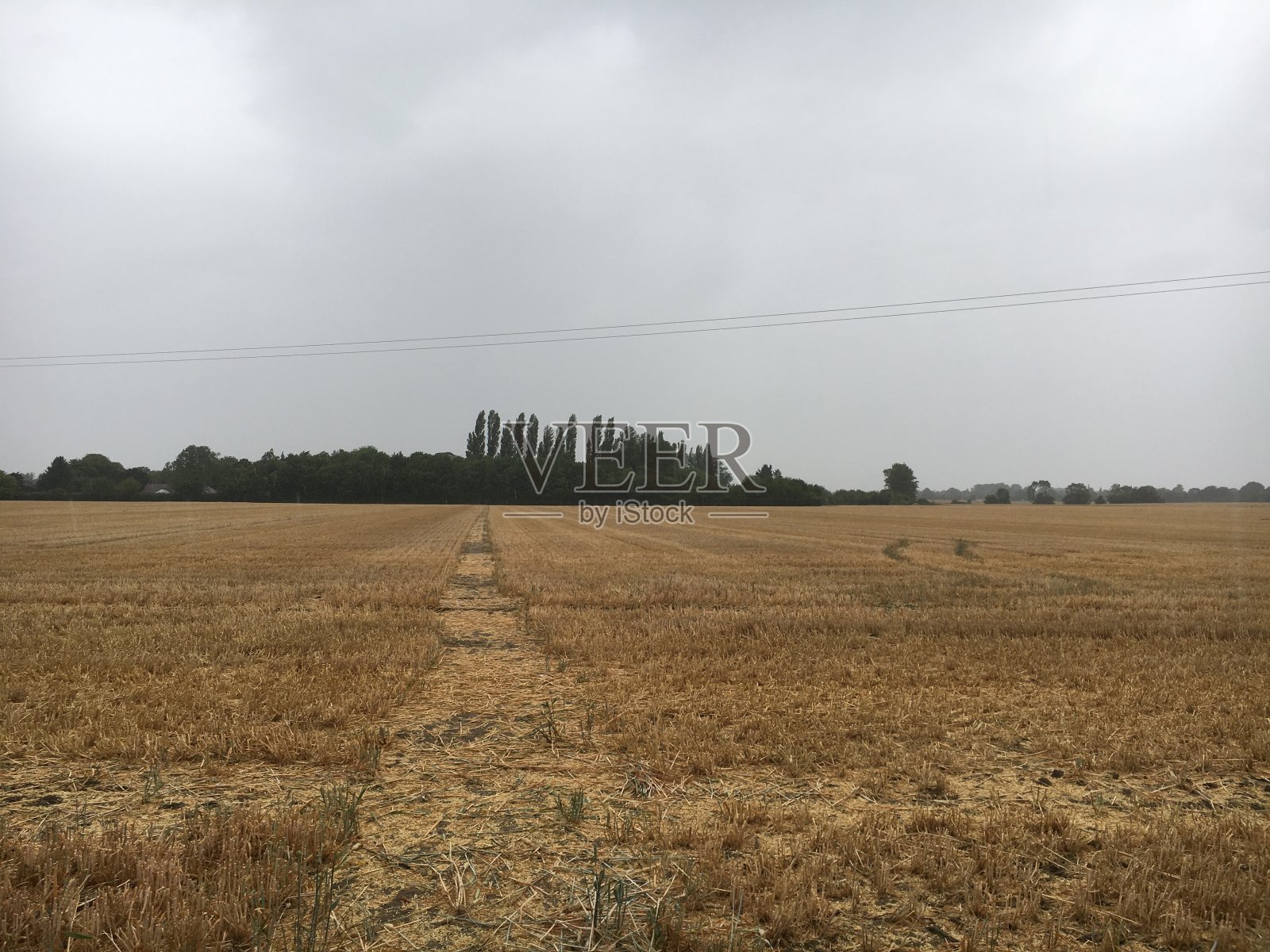 天气，雨天，潮湿的环境，阴天，下雨照片摄影图片