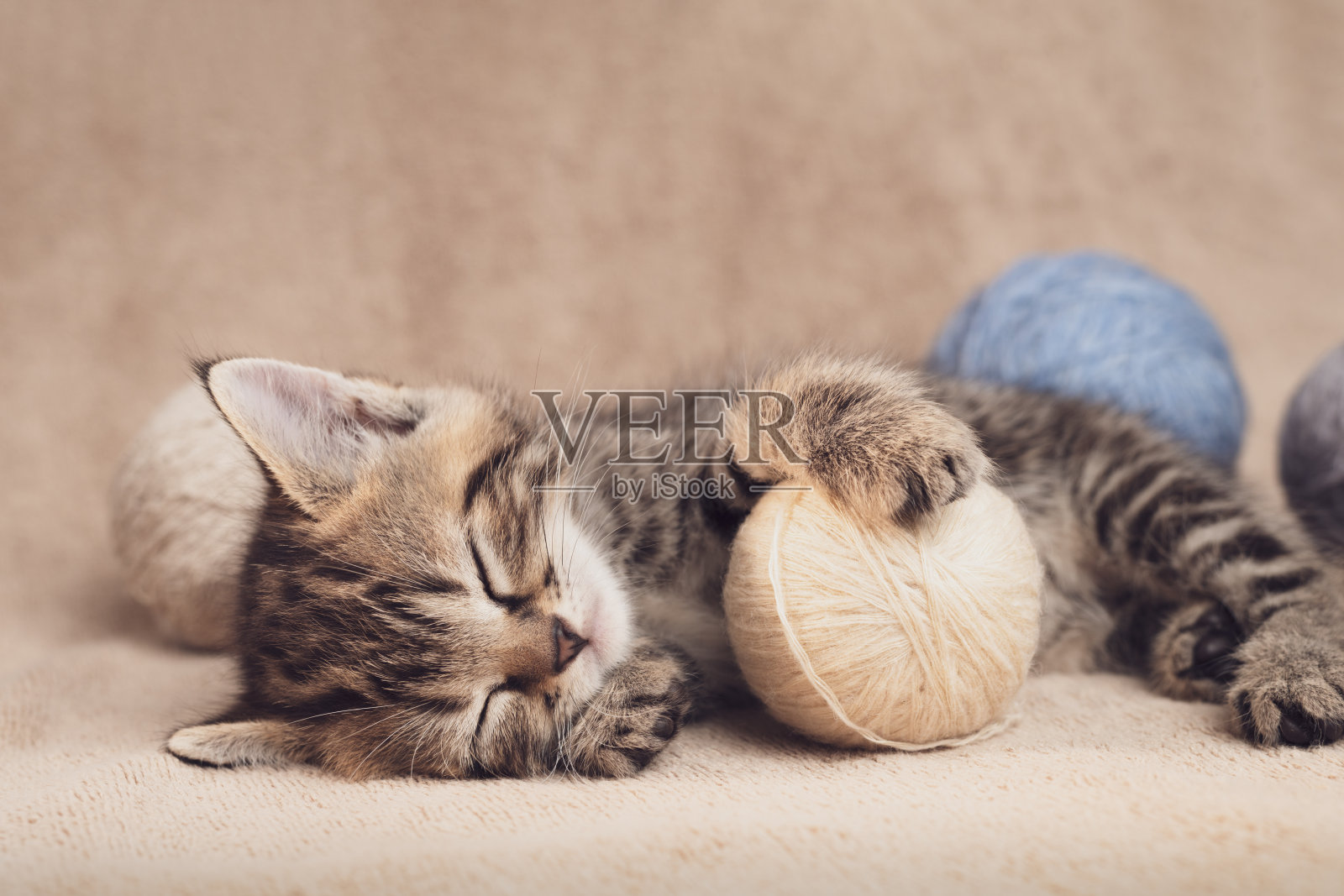 小猫小猫可爱地睡在毛线团的地毯上照片摄影图片