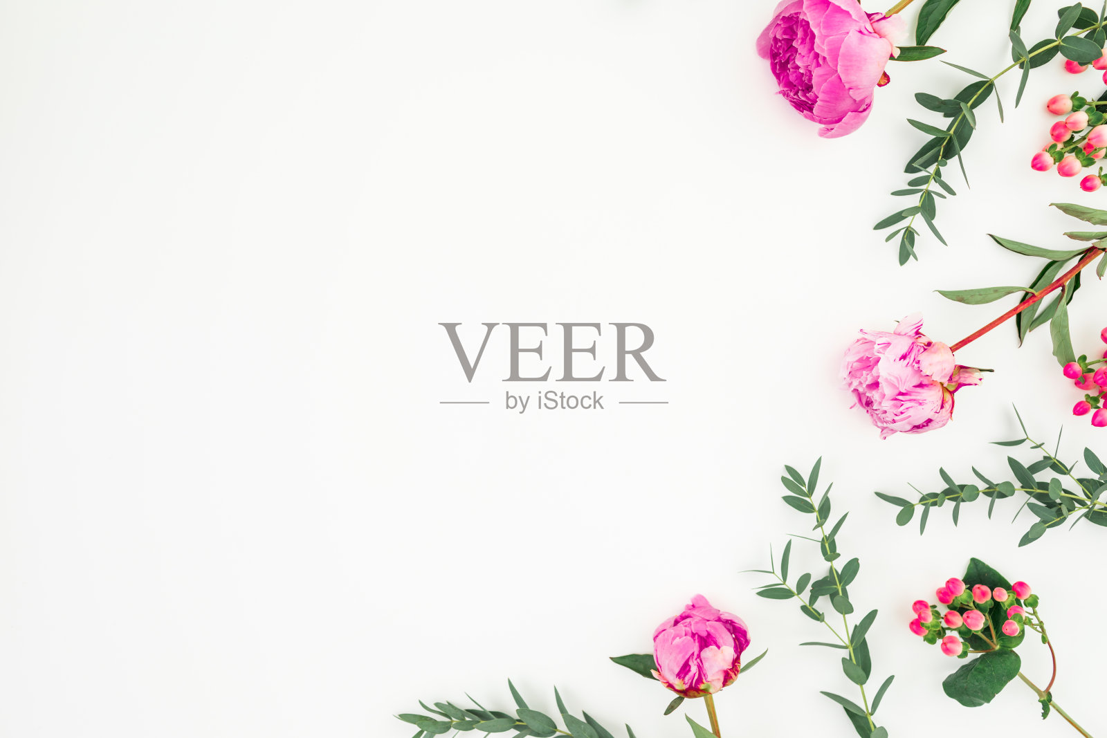 花框架由粉红色的牡丹和桉树枝在白色。平躺，俯视图照片摄影图片