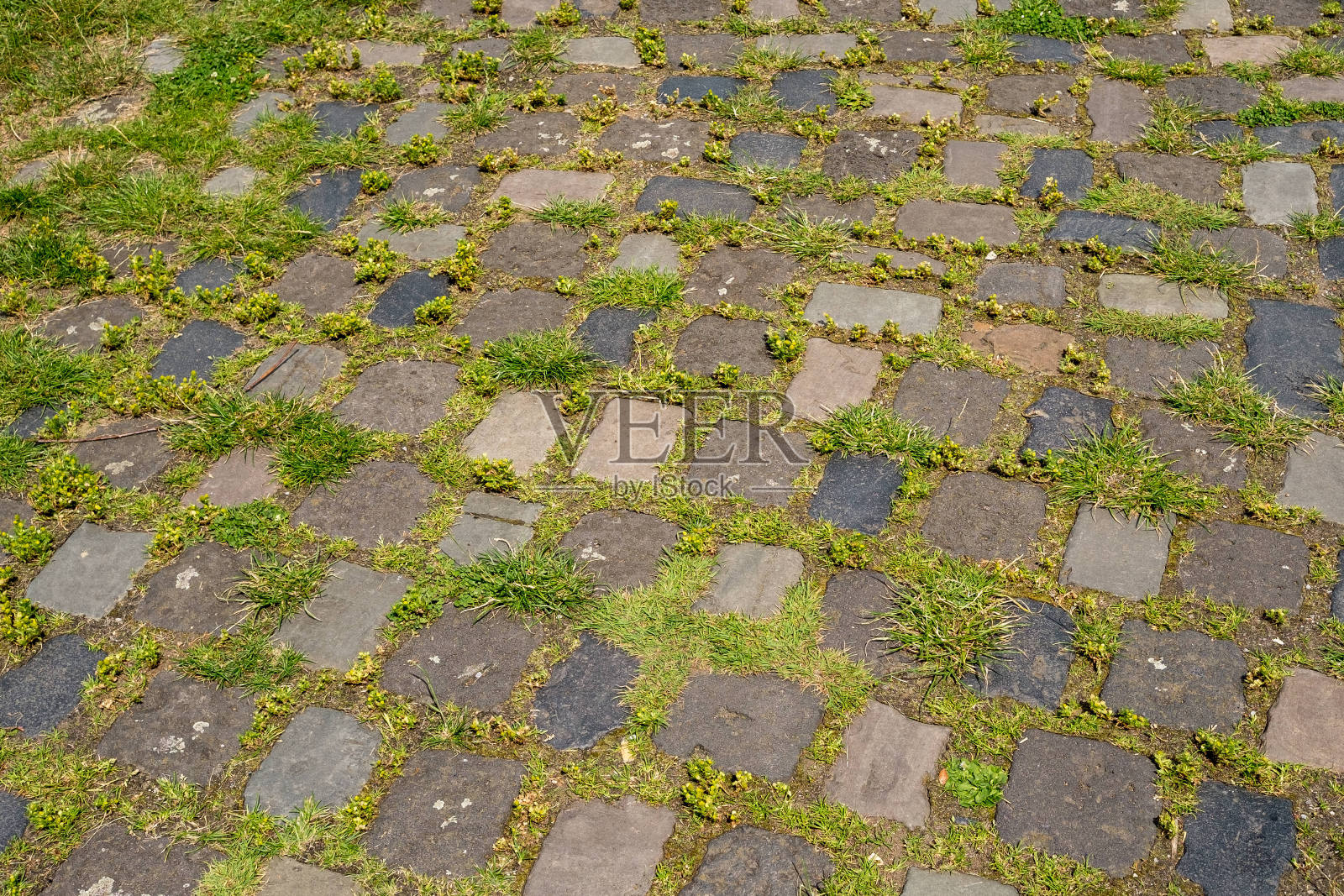 人行道照片摄影图片