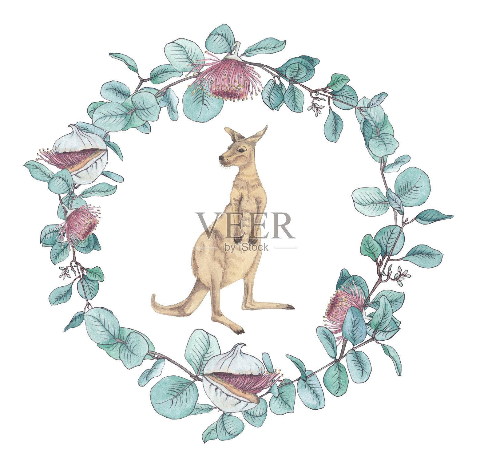 水彩画澳洲动物，袋鼠和桉树花环插画图片素材