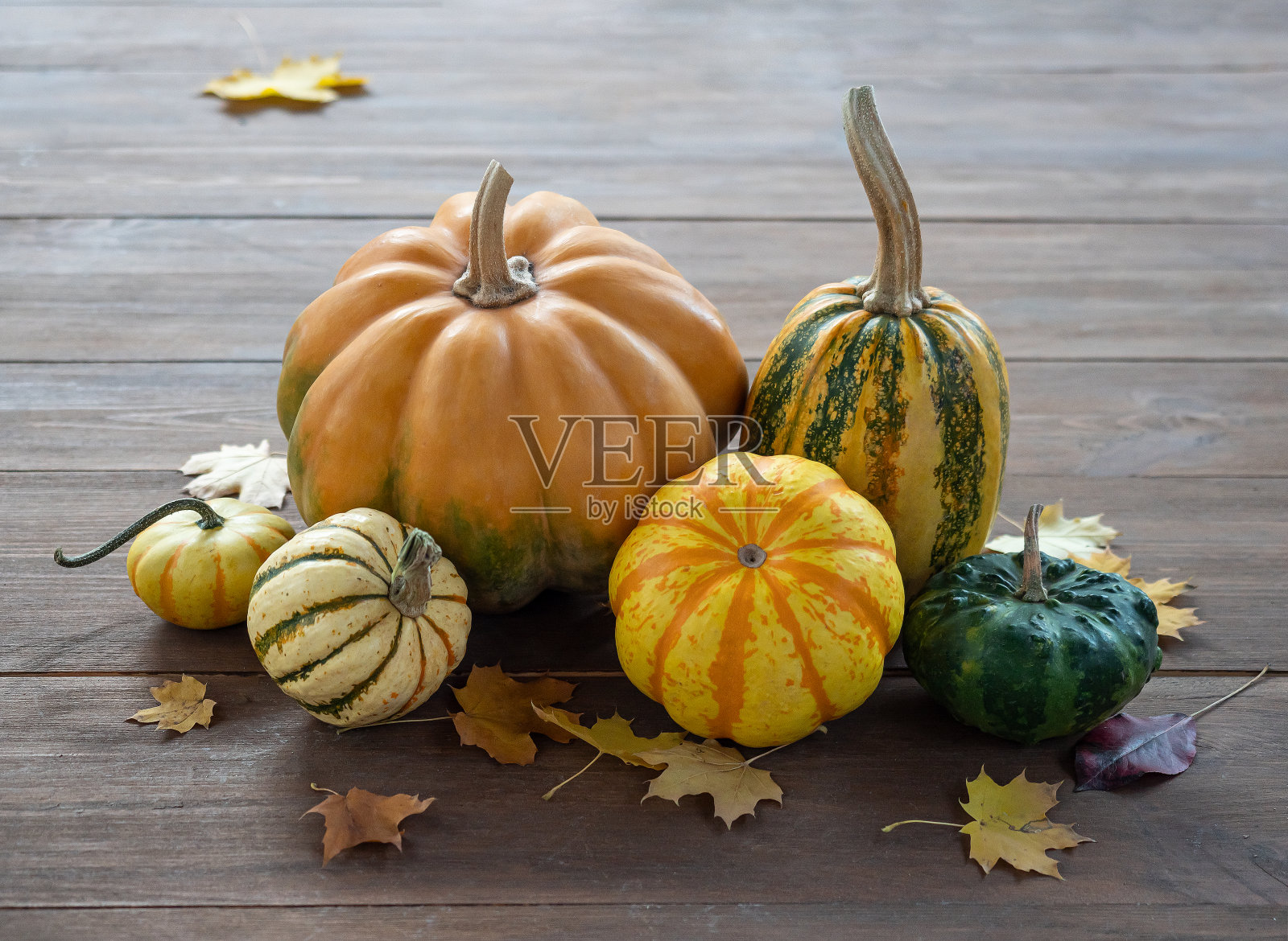 木桌上的南瓜和落下的枫叶组合照片摄影图片