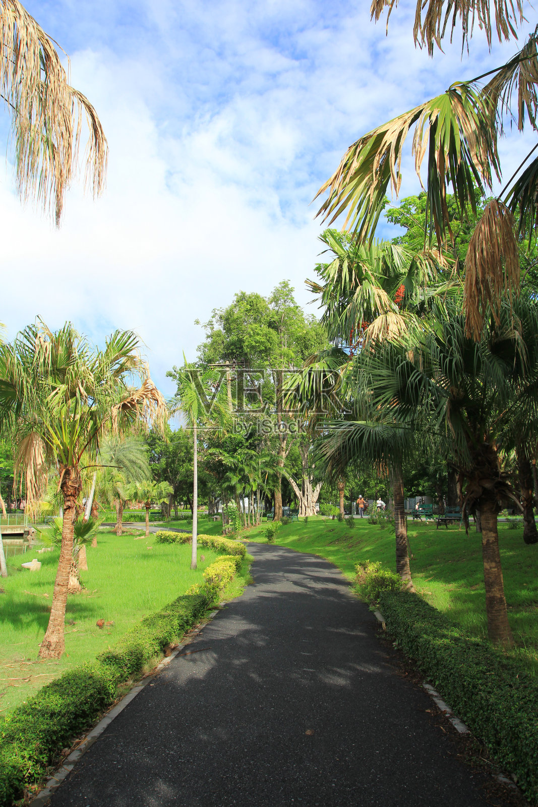 公园里的人行道照片摄影图片