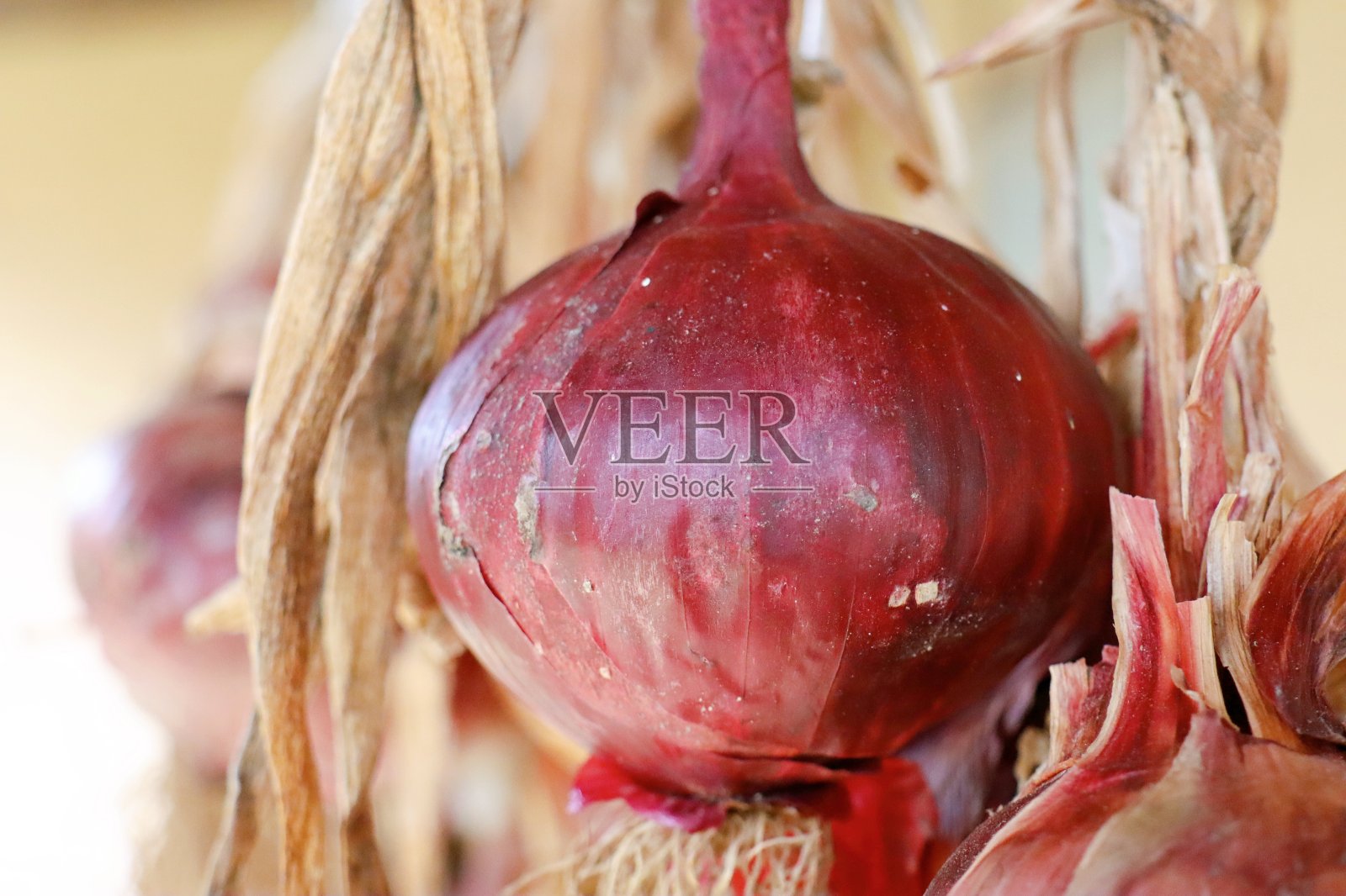 红洋葱照片摄影图片