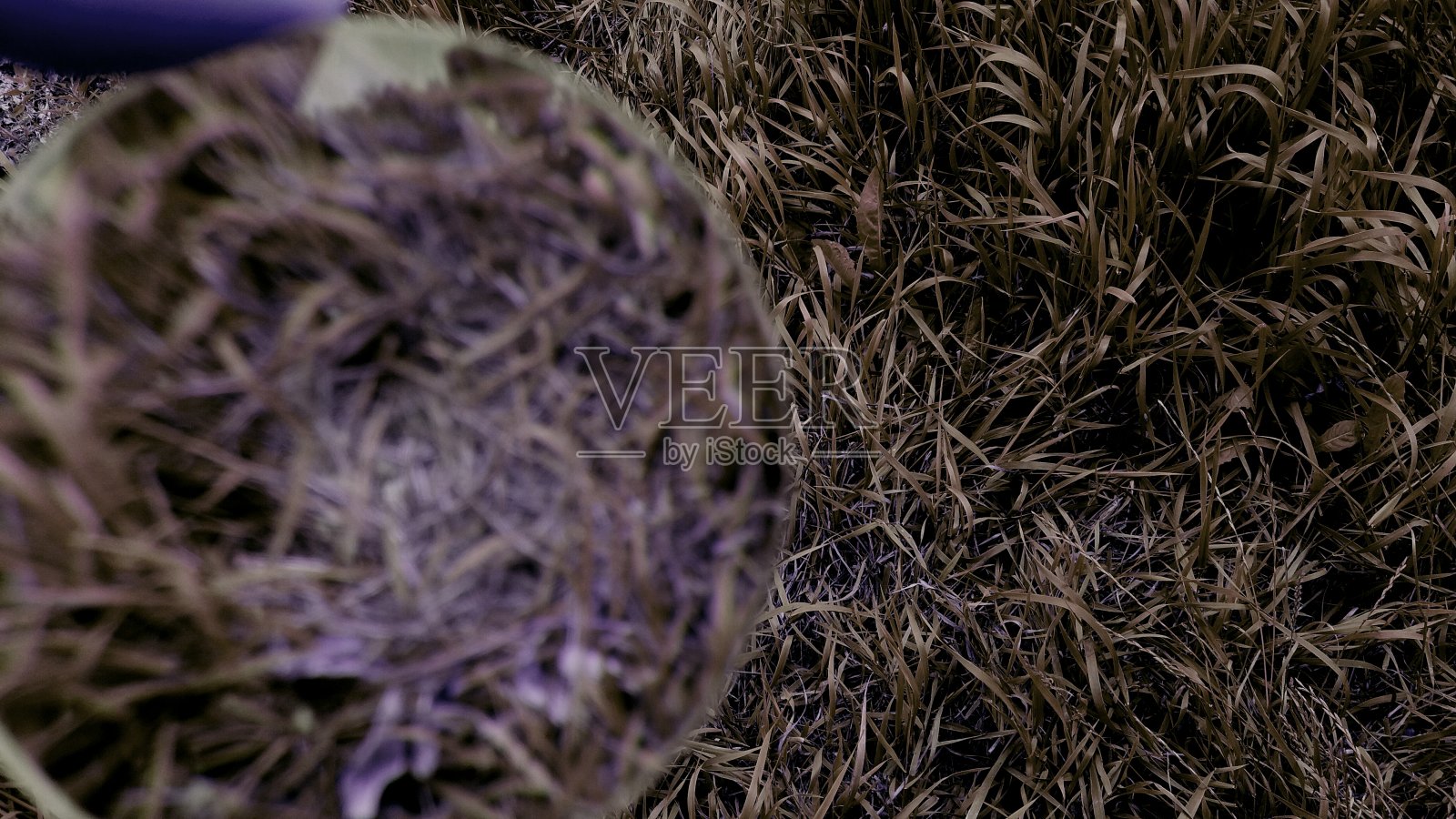 这取决于外观照片摄影图片