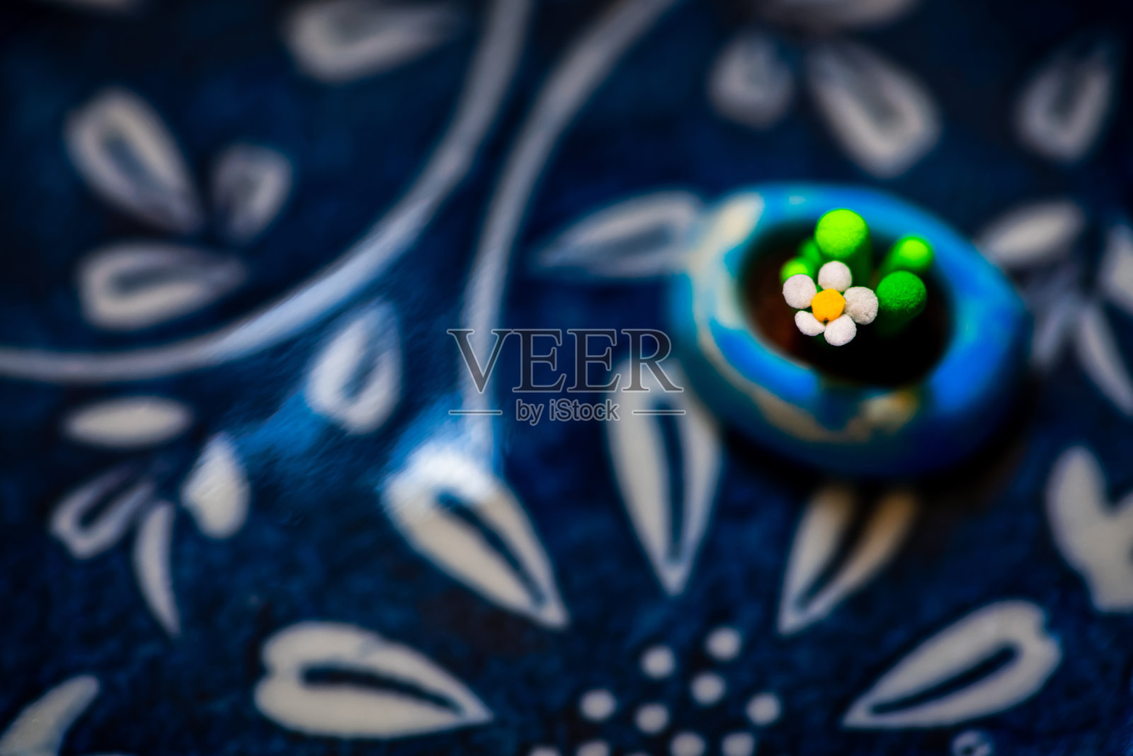 橡皮泥肉质植物照片摄影图片