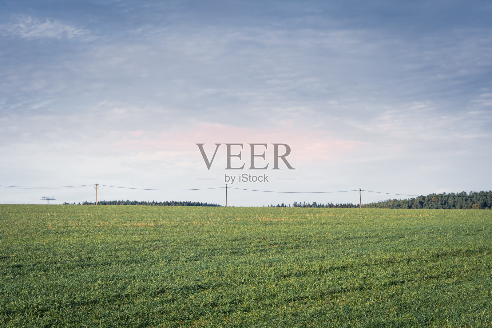 宽阔平坦的绿地上有电塔照片摄影图片