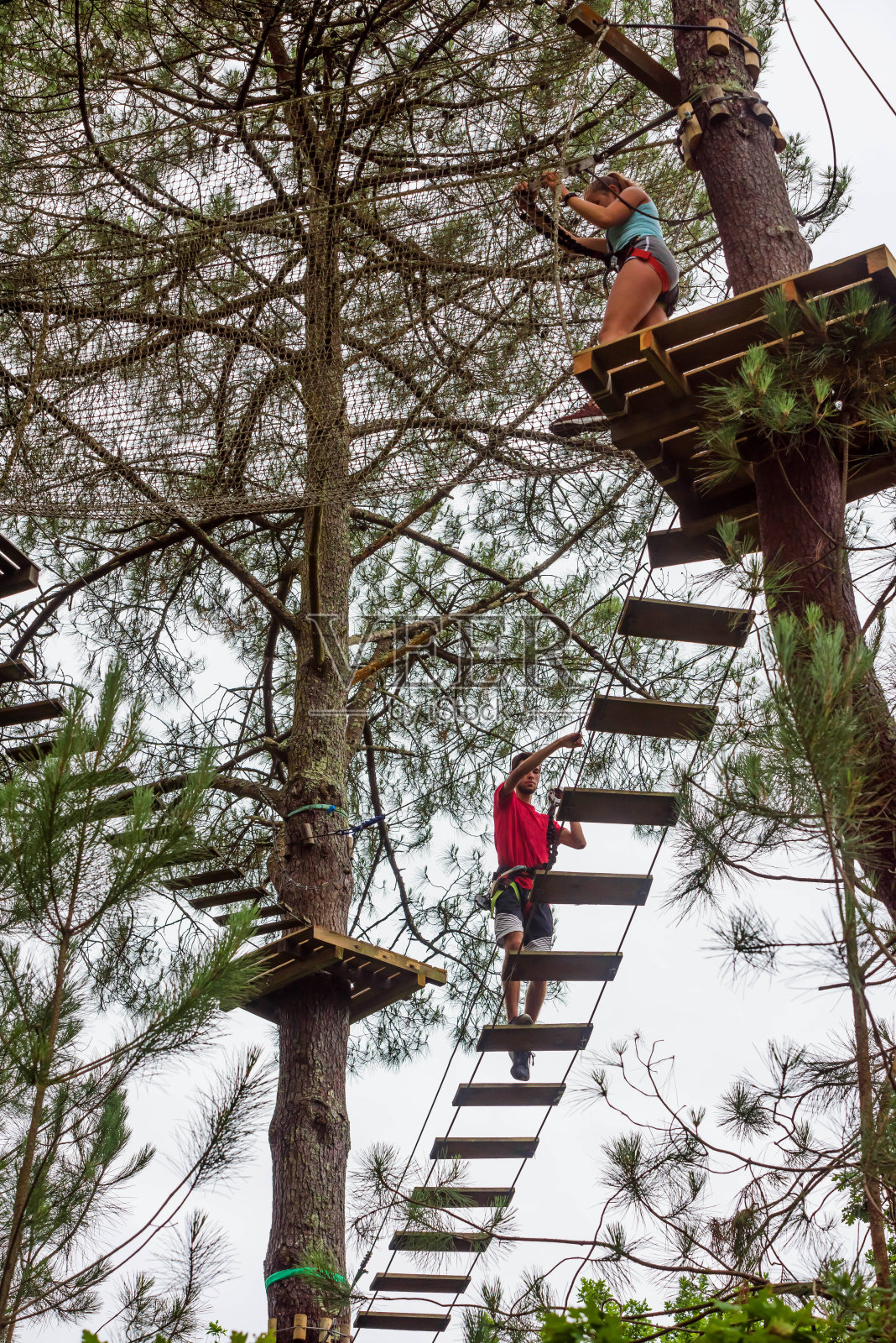 漂亮的年轻人在爬树照片摄影图片