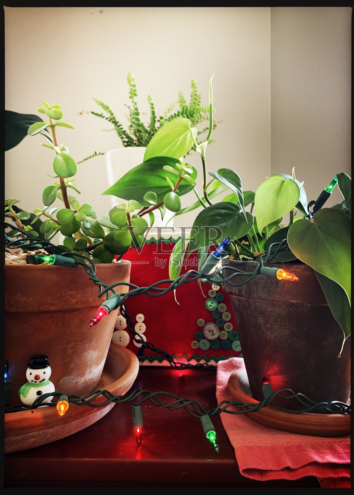 圣诞节在7月照片摄影图片