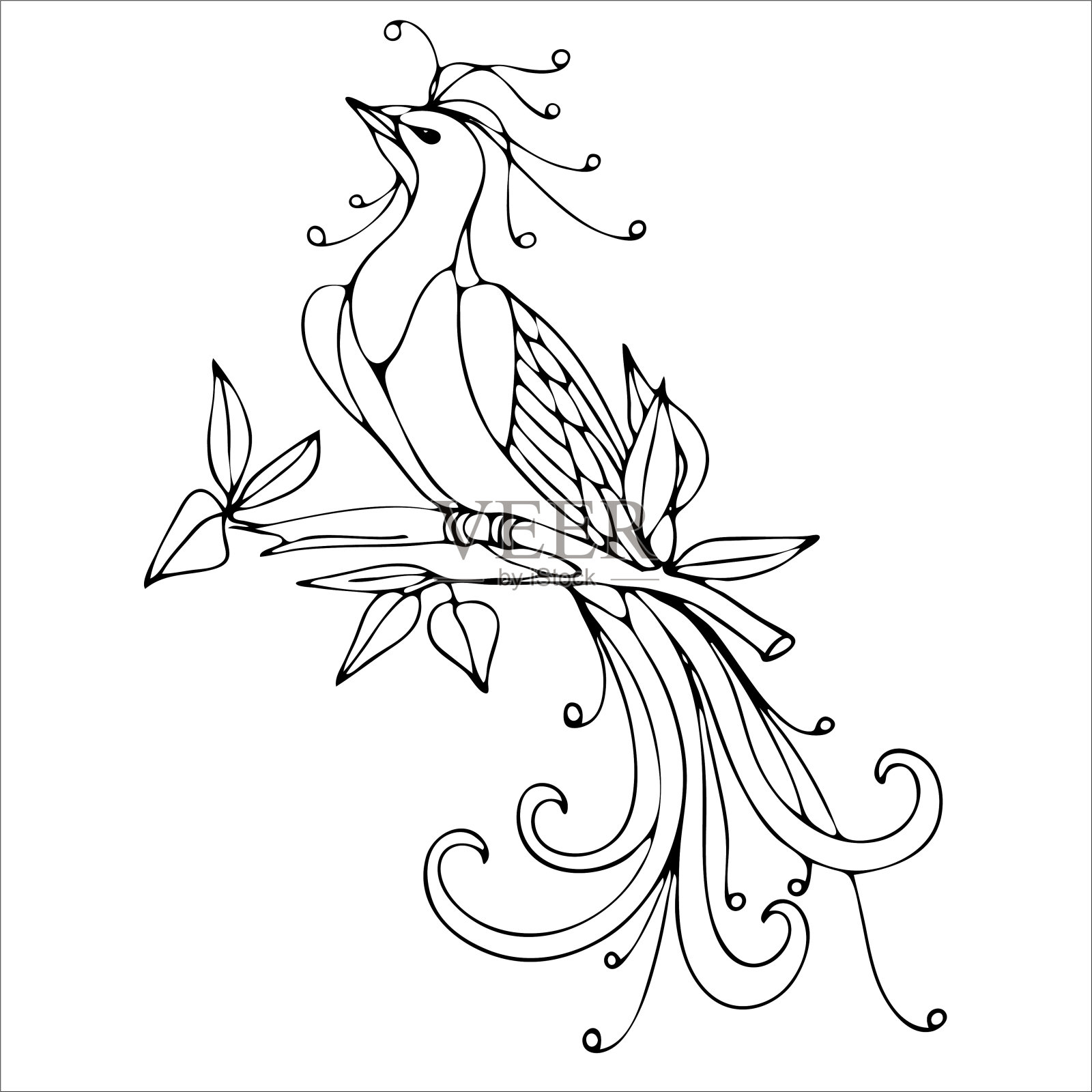 天堂鸟插画图片素材