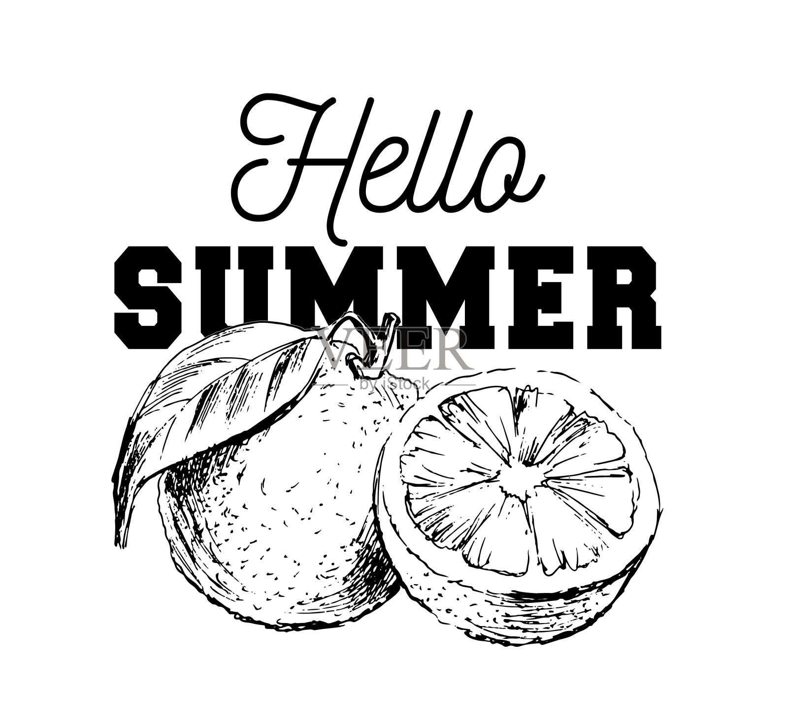 手绘水彩画在白色的背景。矢量插画的水果橙色标语你好夏天插画图片素材