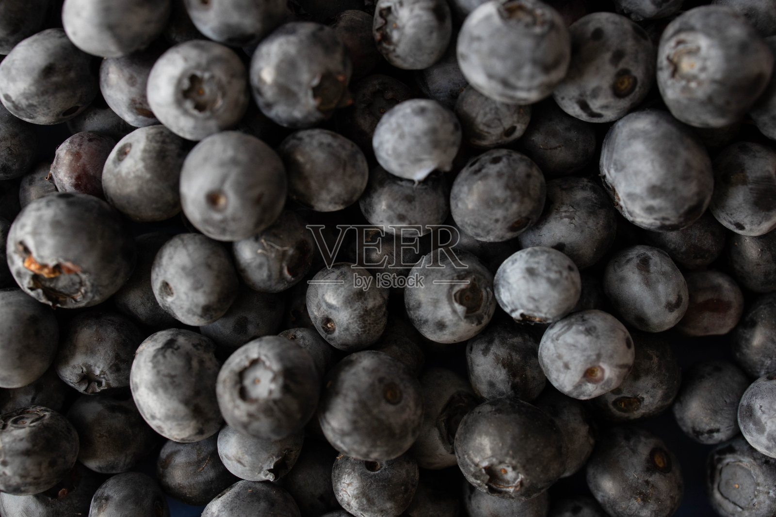 背景来自新鲜采摘的蓝莓照片摄影图片