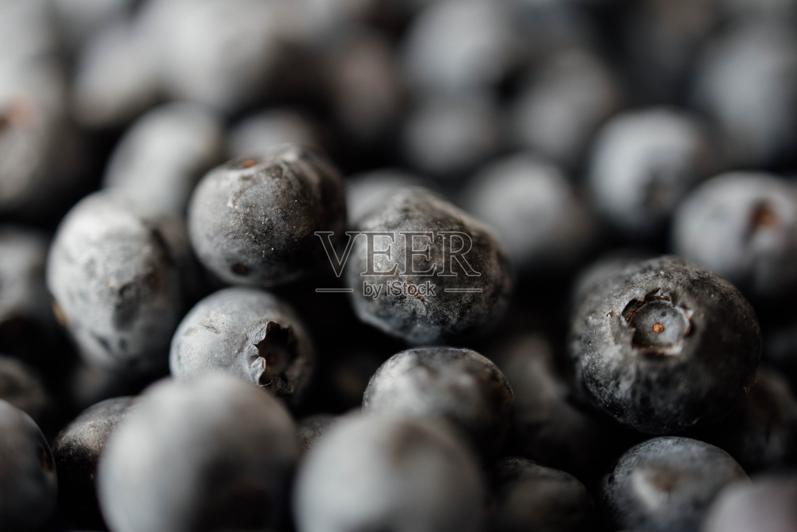 背景来自新鲜采摘的蓝莓照片摄影图片