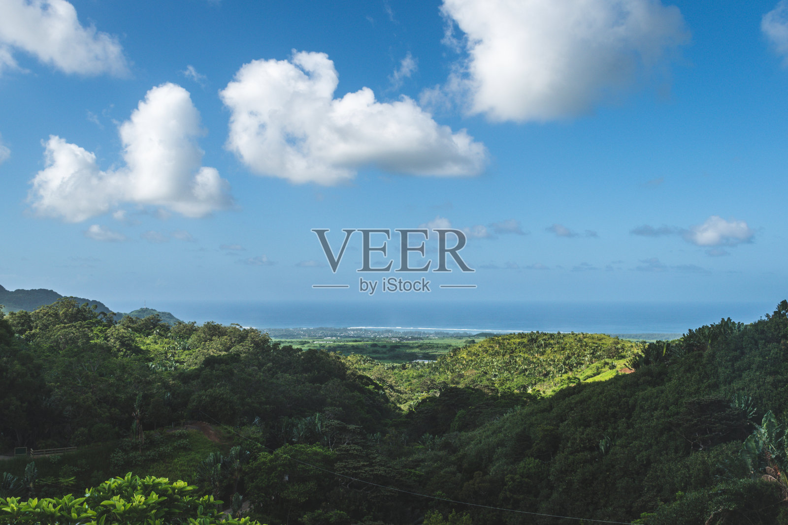 从峰顶看毛里求斯的丛林照片摄影图片