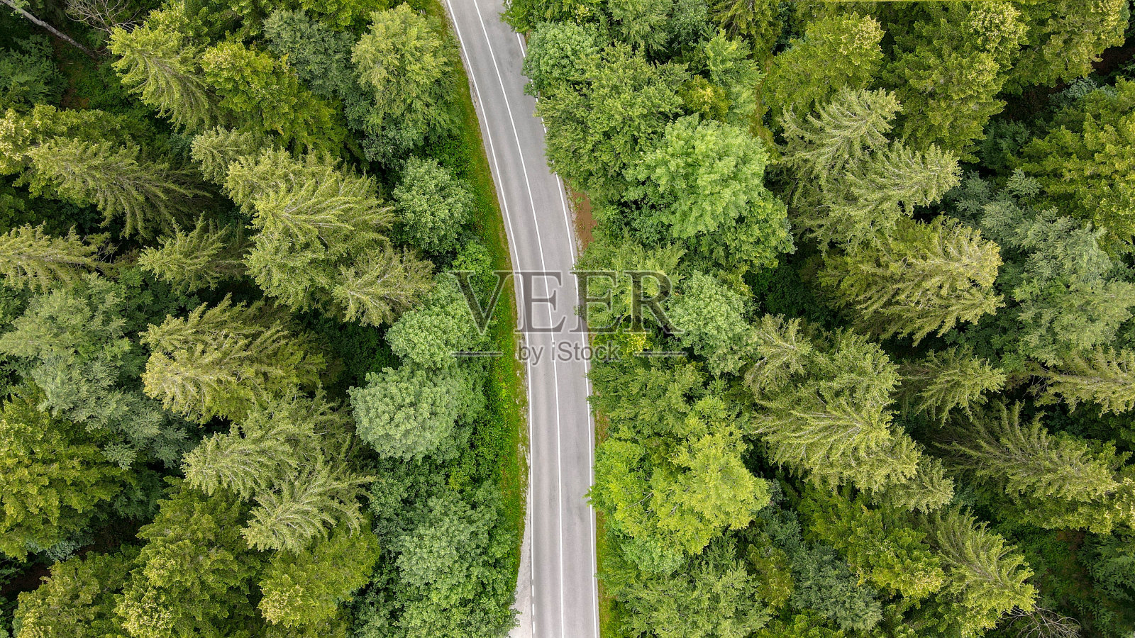 穿过森林的道路——清晨从空中拍摄的照片照片摄影图片