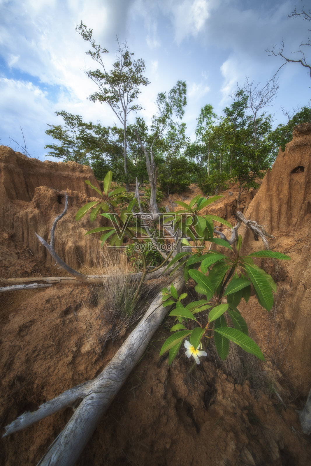 泰国Sakaeo省的Lalu公园，由于土壤侵蚀产生了奇怪的形状。照片摄影图片