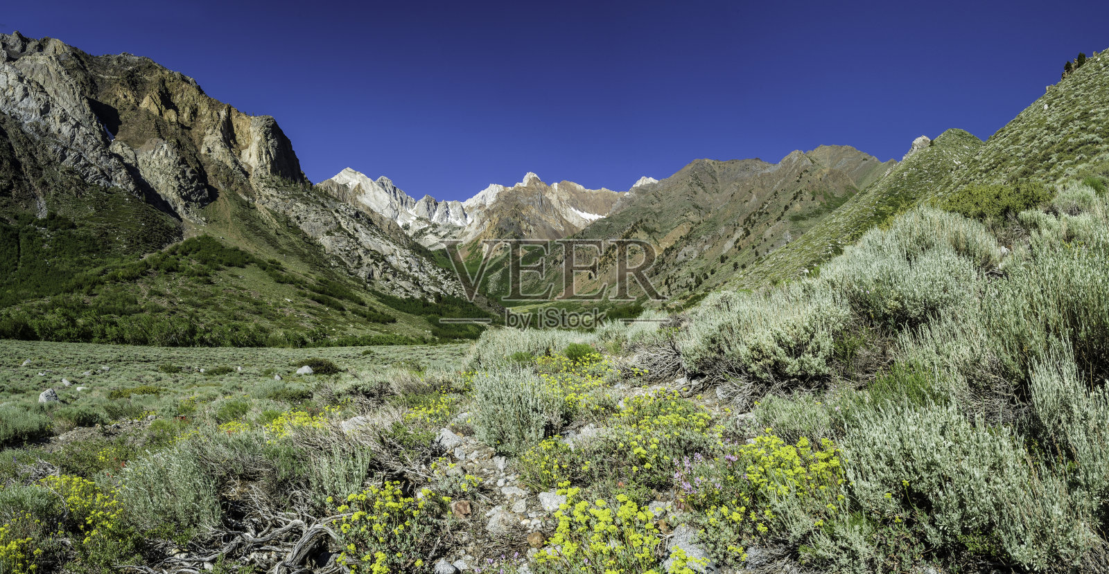 内华达山脉的地形是从内华达山脉岩基的花岗岩上切割下来的。这些深褐色的岩石通常被称为屋顶垂饰，因为它们曾经是下面花岗岩的屋顶。麦基溪峡谷，我照片摄影图片