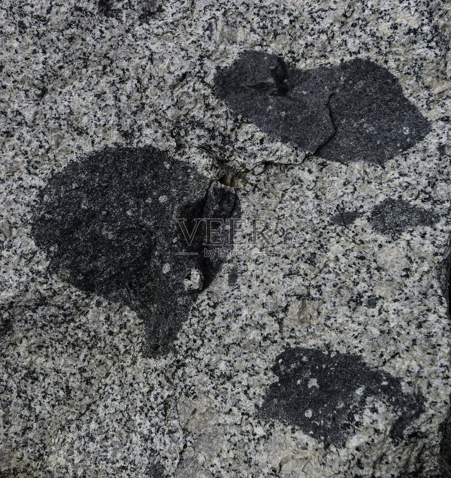 在花岗岩捕虏体，在惠勒岭附近，松溪峡谷，东内华达山脉，加利福尼亚，地质学，火成岩。花岗岩中的辉长岩捕虏体。照片摄影图片