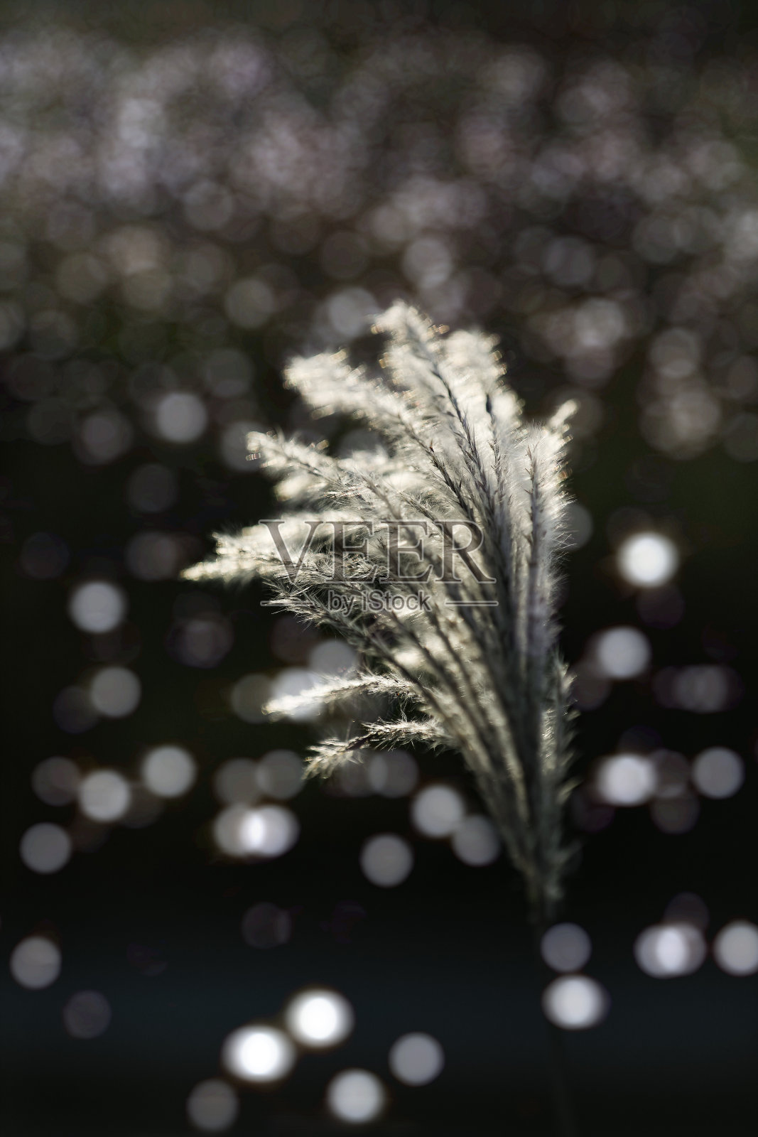 秋天的风景照片摄影图片