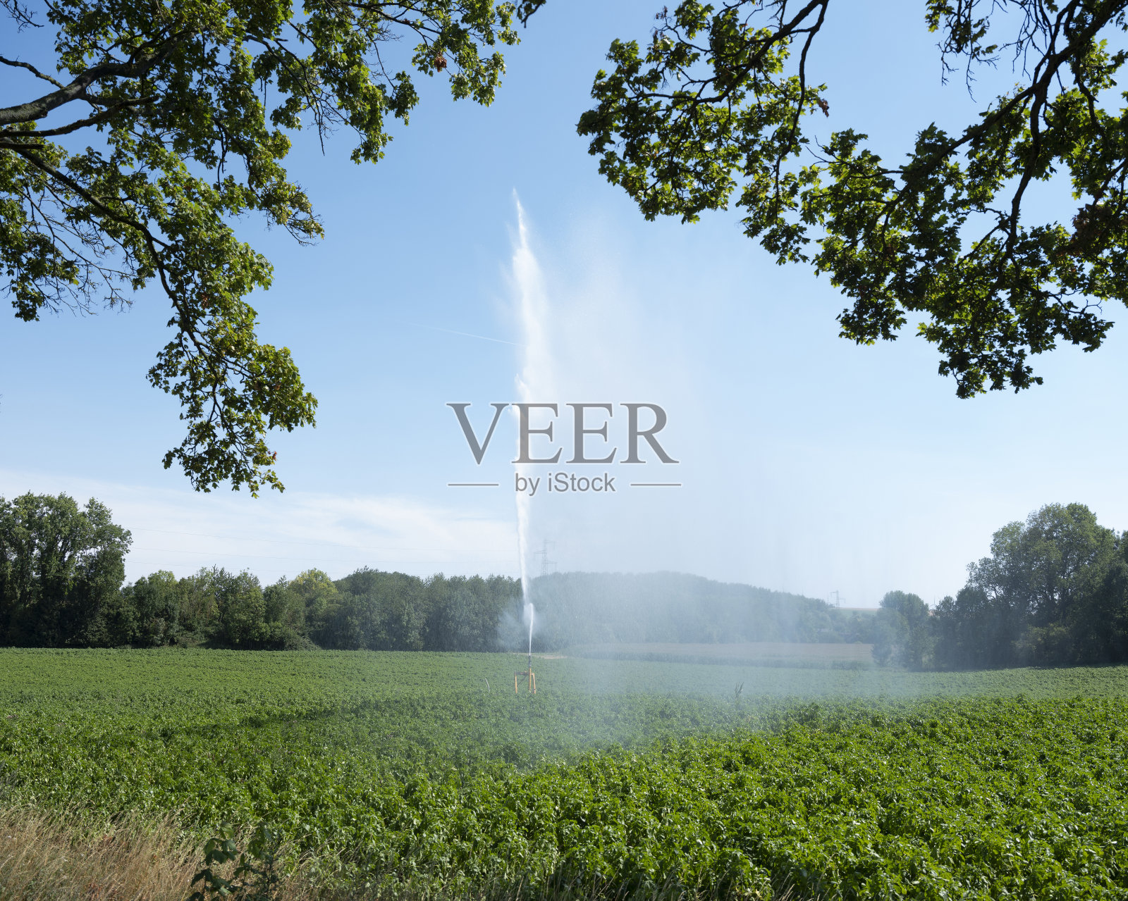 法国北部的农田灌溉照片摄影图片