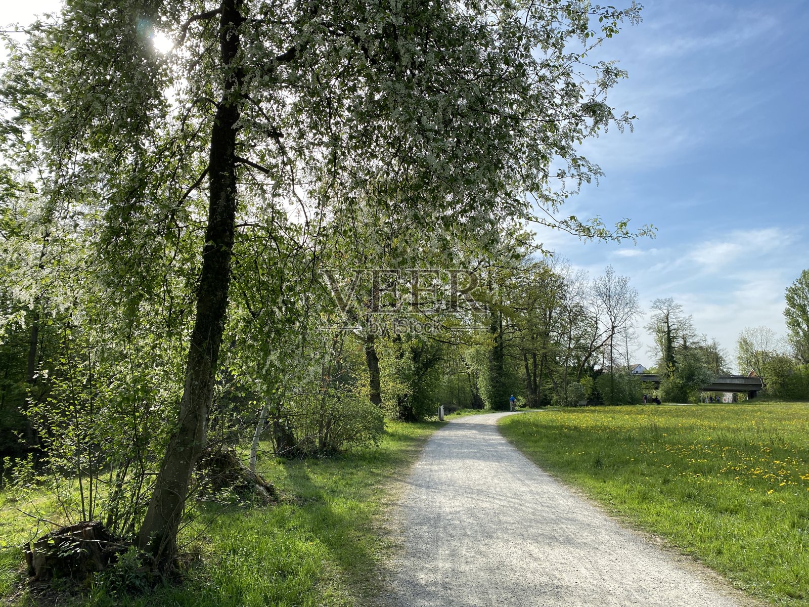 沿着格拉特河和经过小湖泊或池塘的休闲步道- Zürich(苏黎世或苏黎世)，瑞士(Schweiz)照片摄影图片