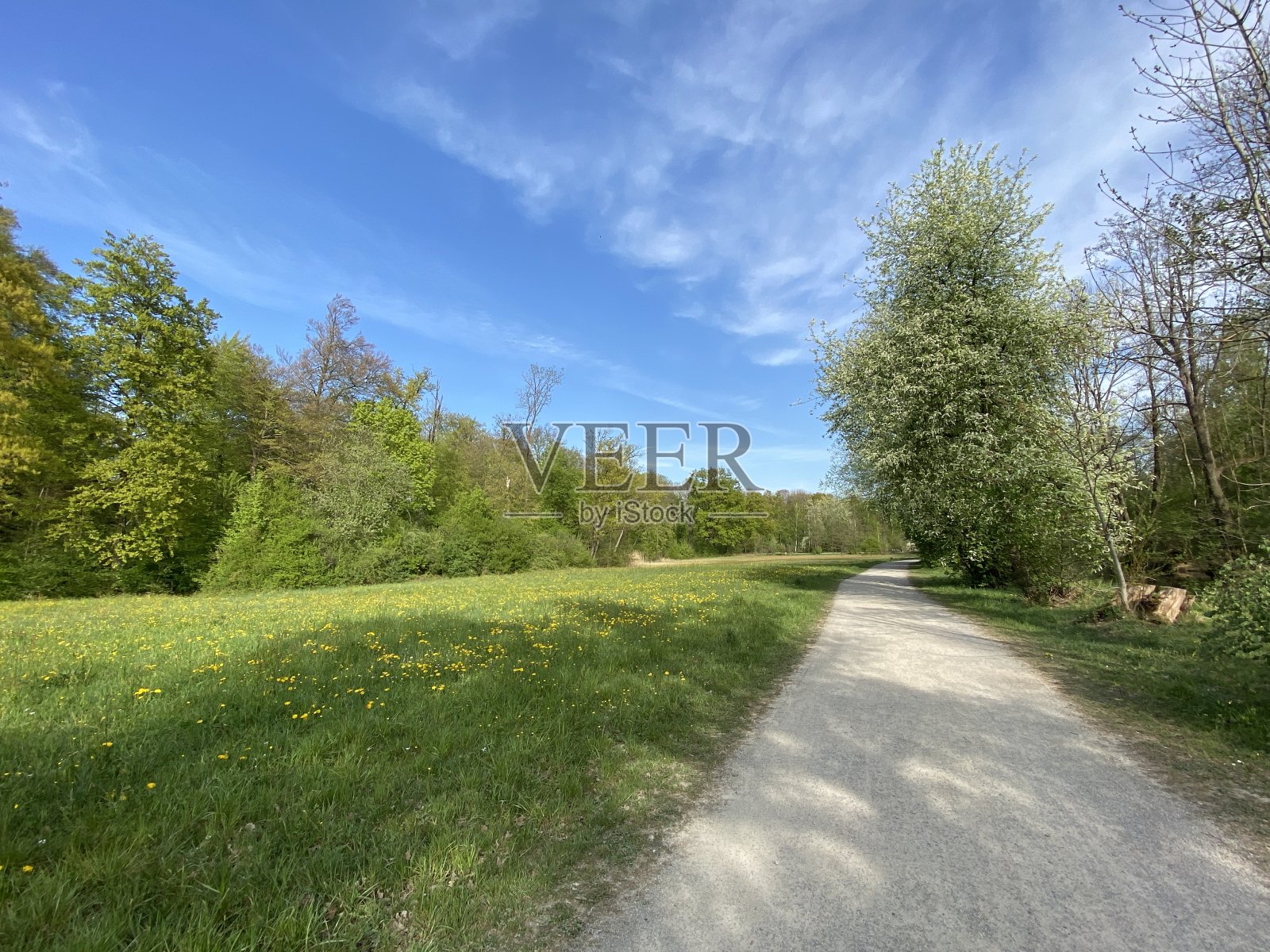沿着格拉特河和经过小湖泊或池塘的休闲步道- Zürich(苏黎世或苏黎世)，瑞士(Schweiz)照片摄影图片