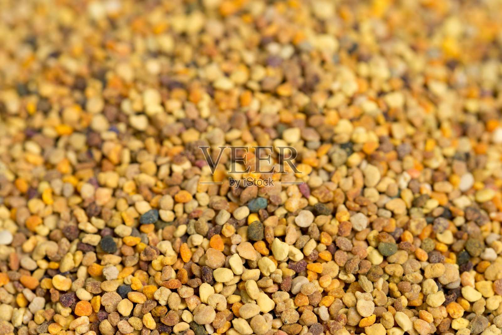 蜜蜂花粉粒特写选择焦点照片摄影图片